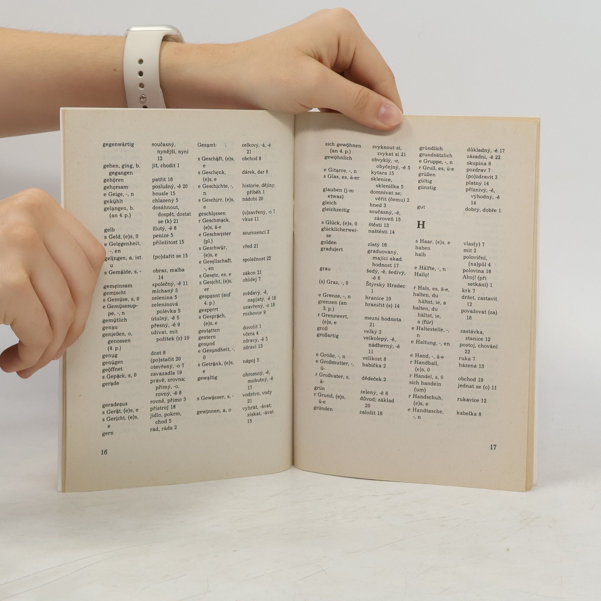 Autorenkollektiv Německy s úsměvem. Německo-český slovníček