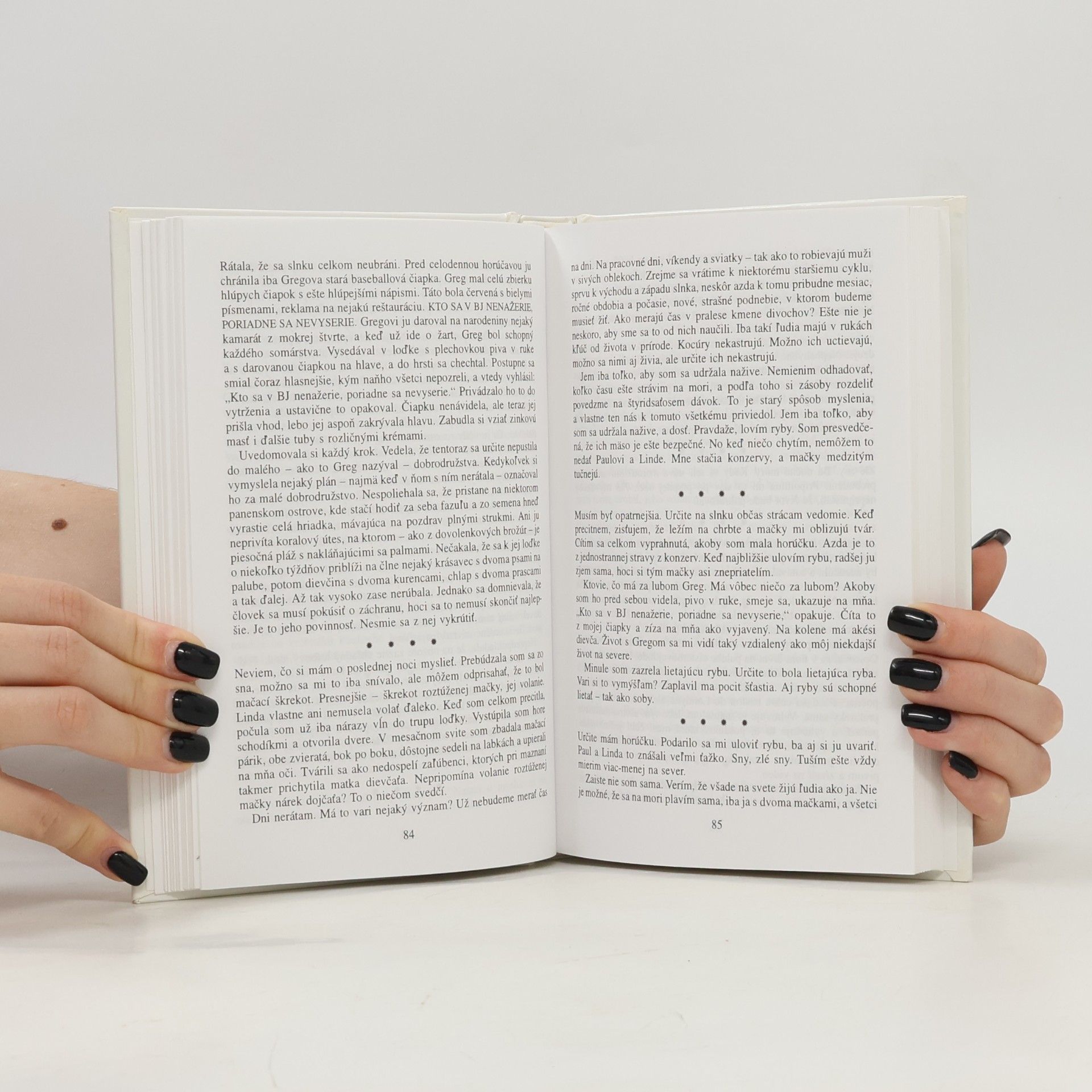 Julian Barnes História sveta v 10 a 1/2 kapitolách