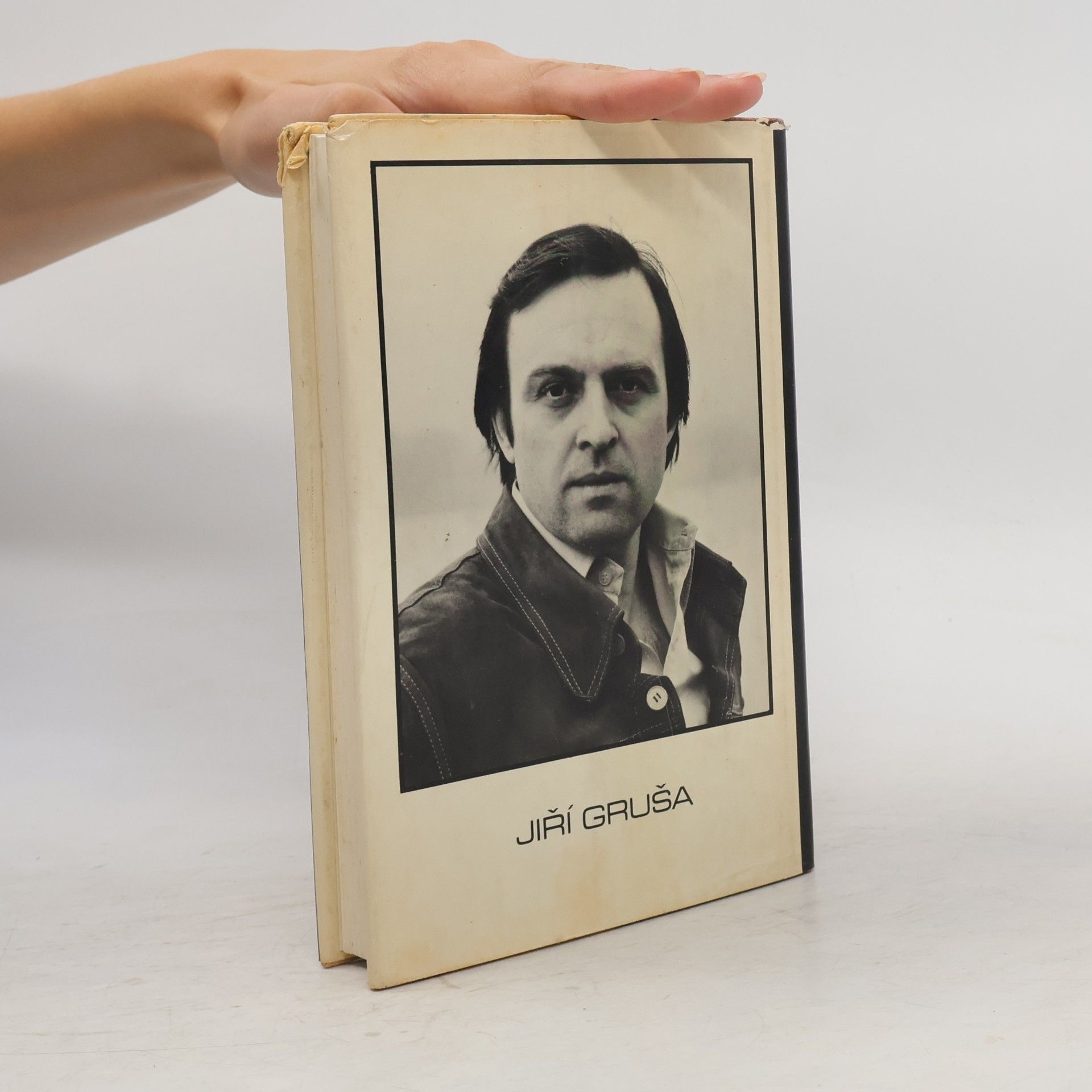 Jiří Gruša The Questionnaire, Or, Prayer for a Town & a Friend