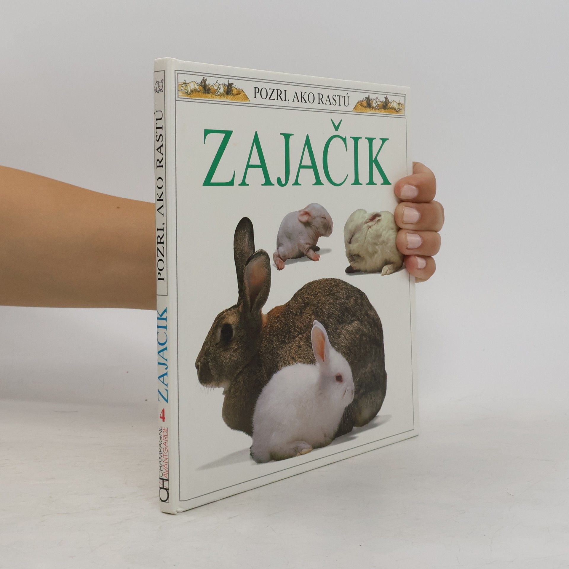 Autorenkollektiv Pozri, ako rastú - 4: Zajačik