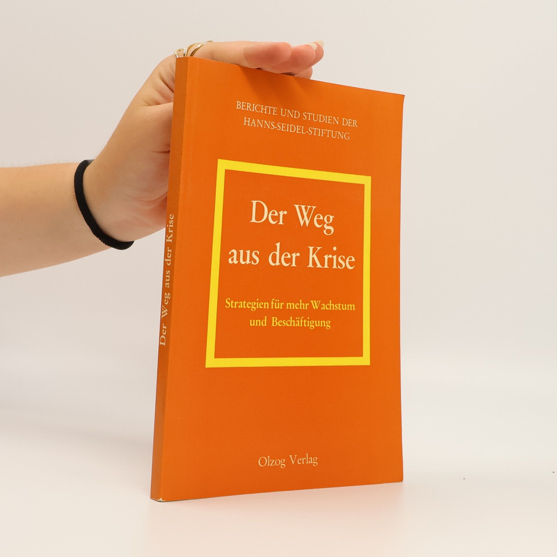 Stefan Graf Bethlen Der Weg aus der Krise