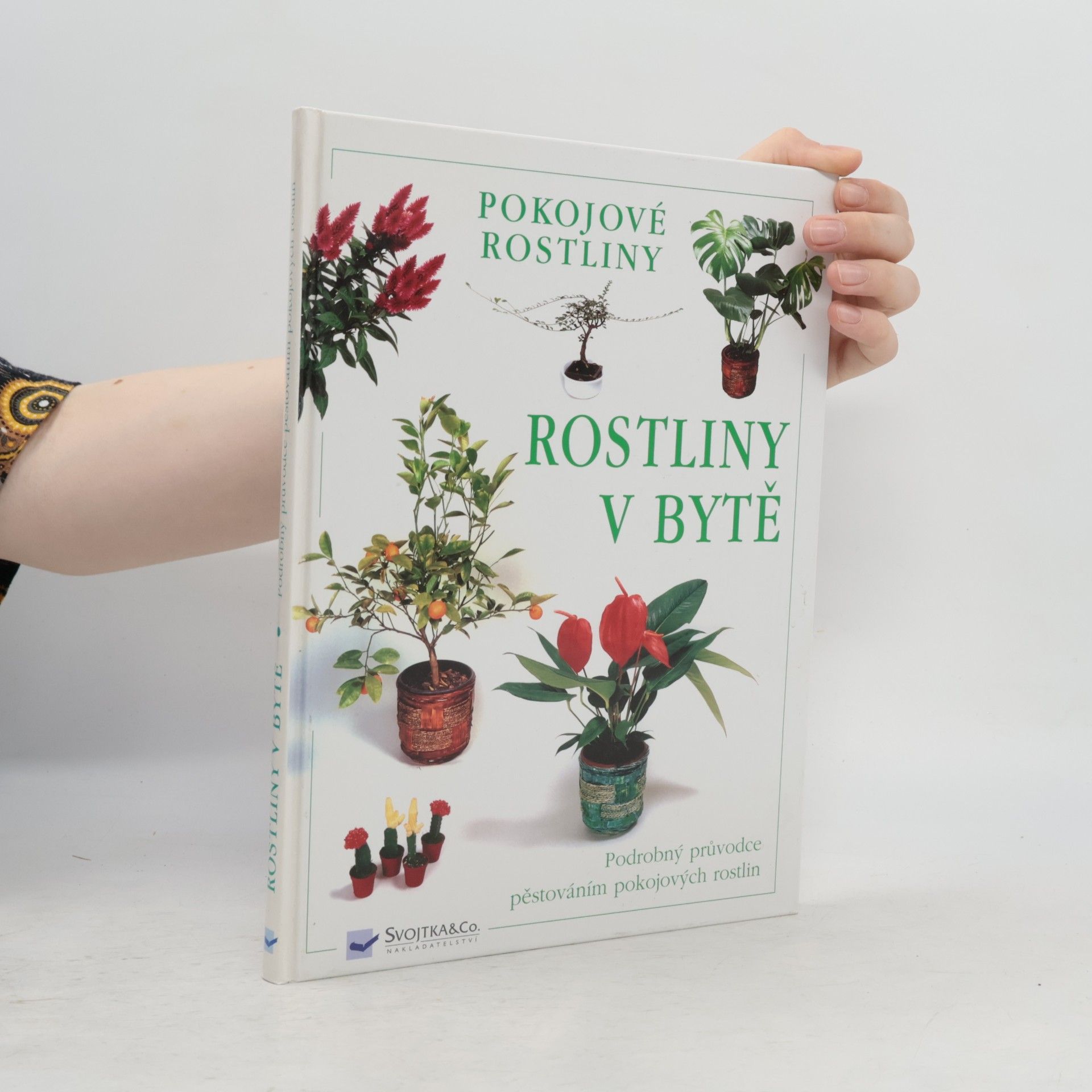 Auteurscollectief Rostliny v bytě. Pokojové rostliny