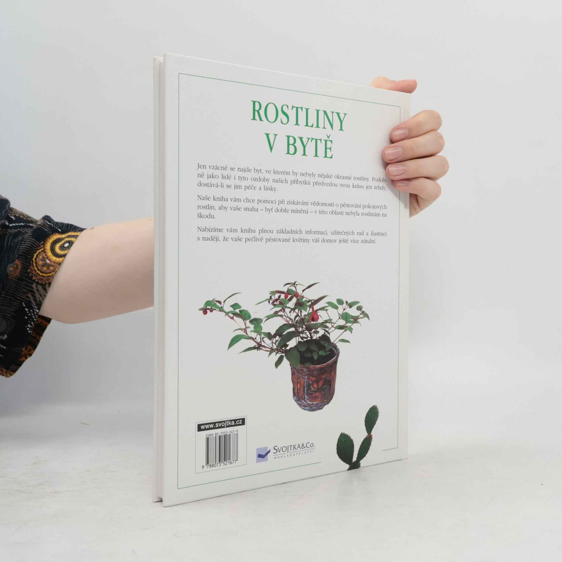 Autorenkollektiv Rostliny v bytě. Pokojové rostliny