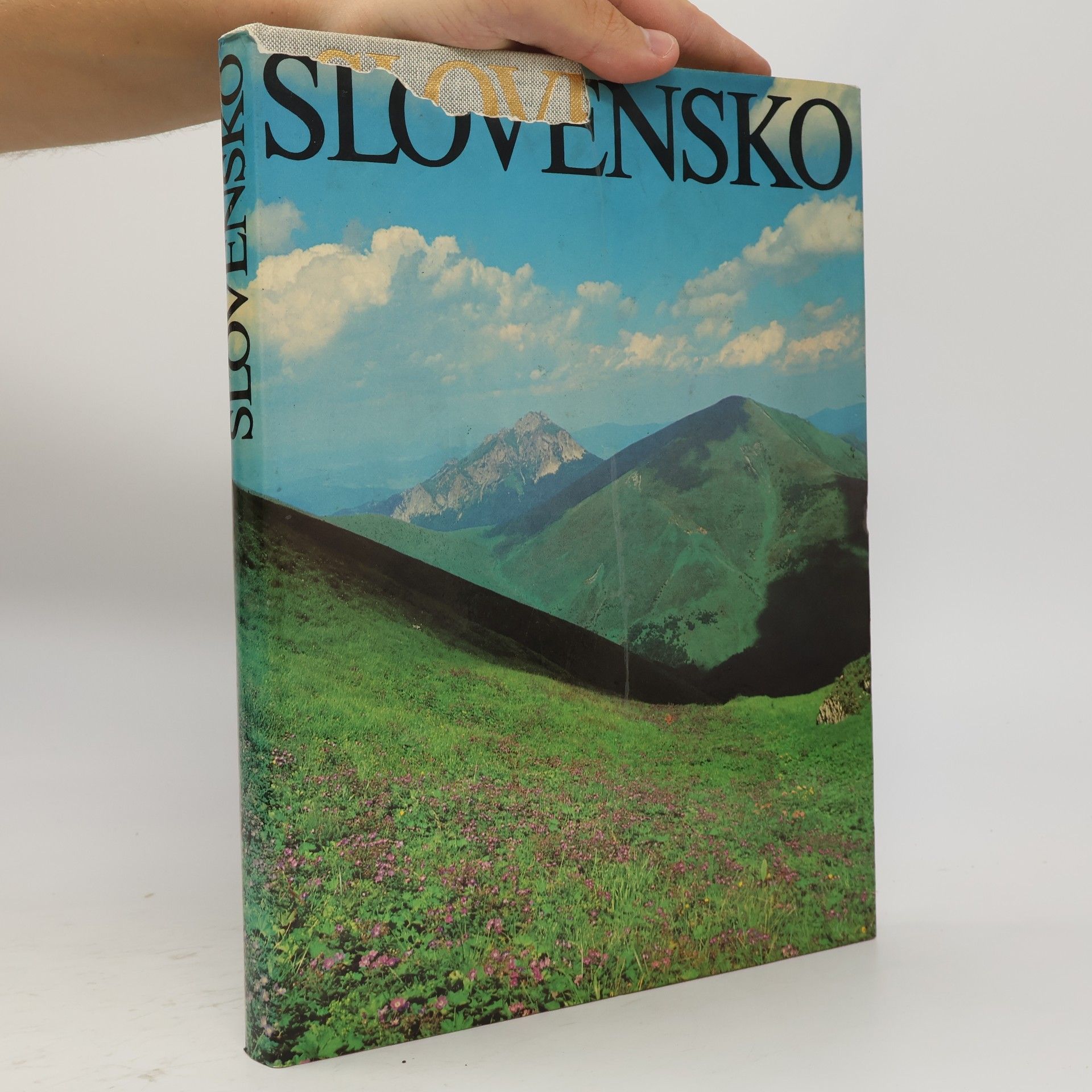 Milan Ferko Slovensko