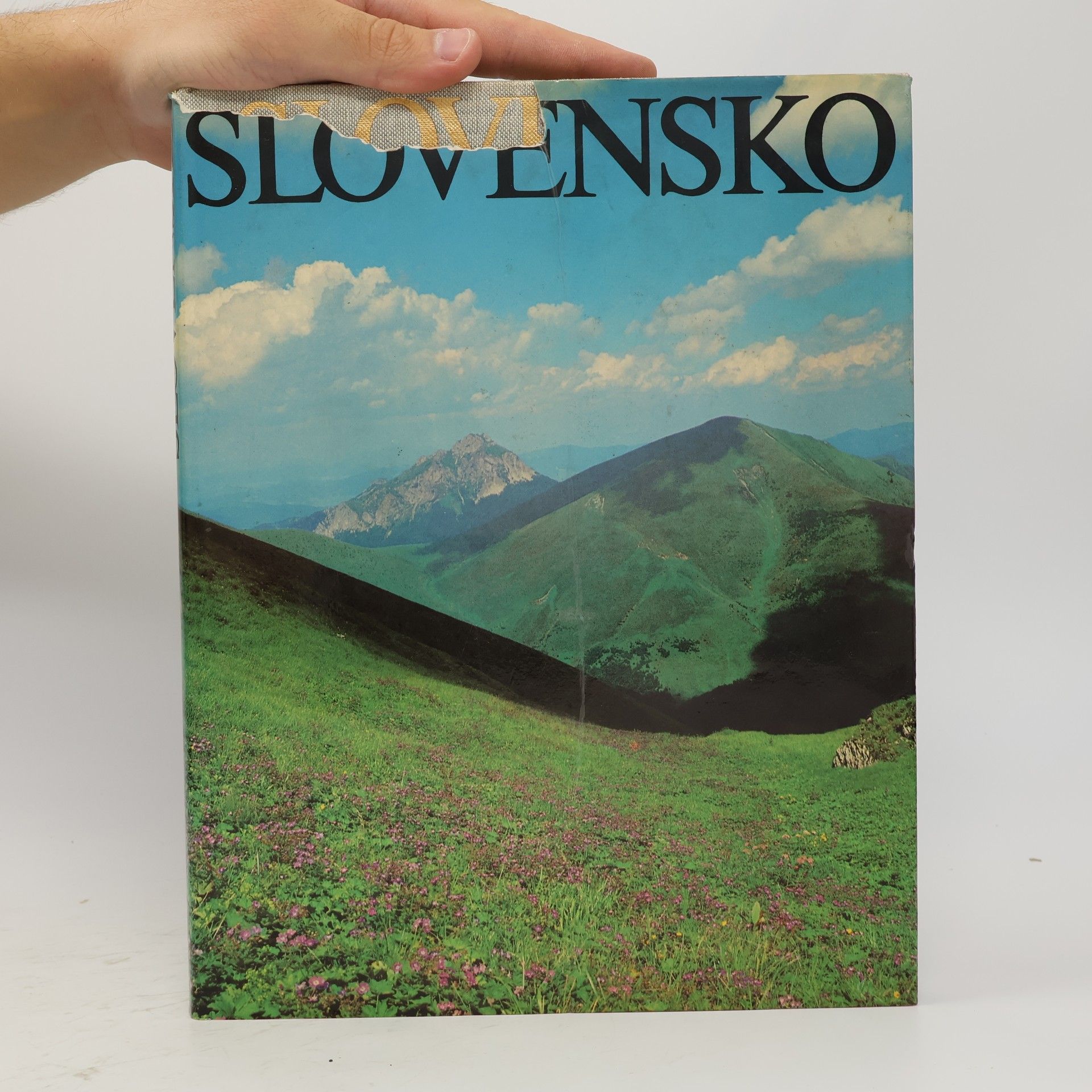 Milan Ferko Slovensko