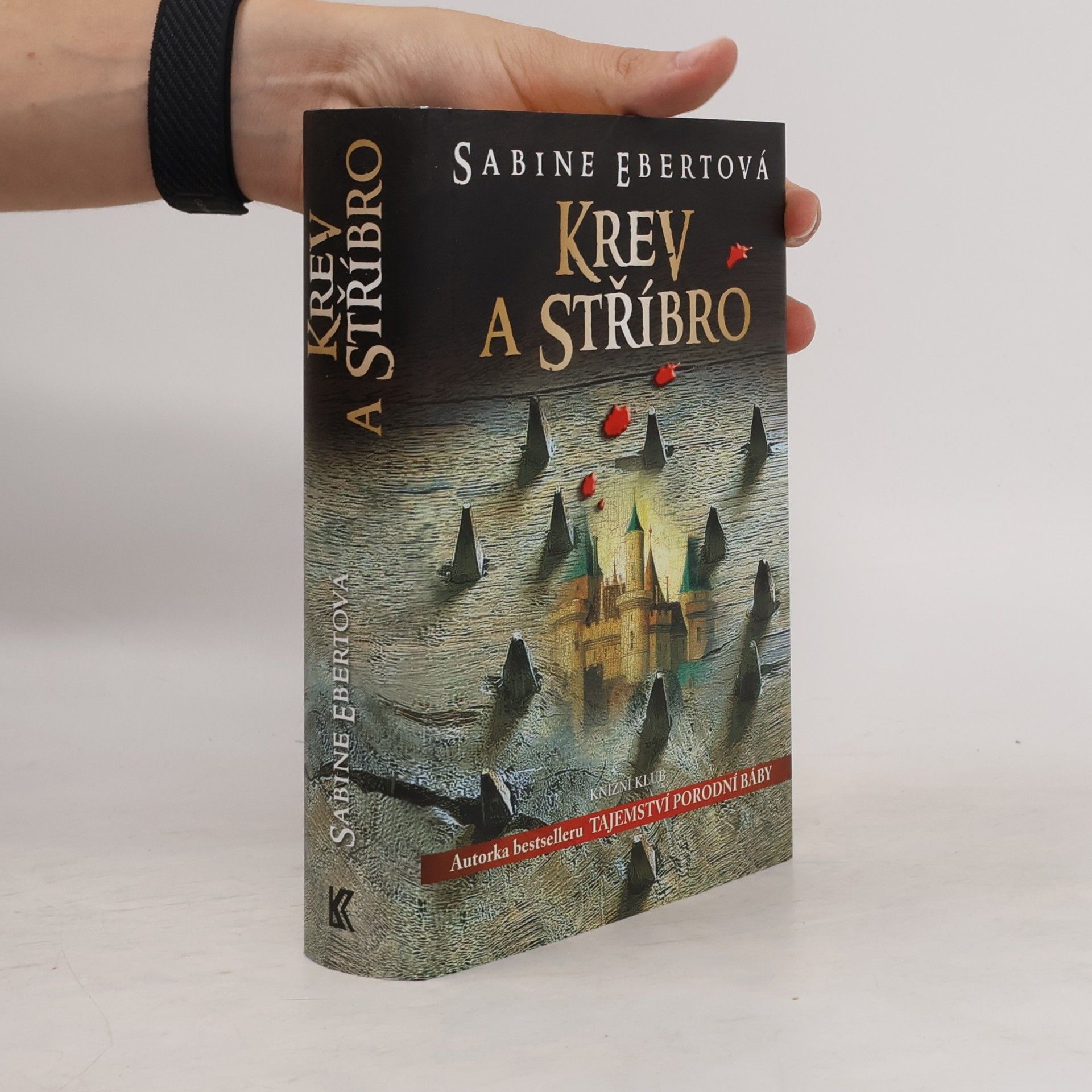 Sabine Ebert Krev a stříbro