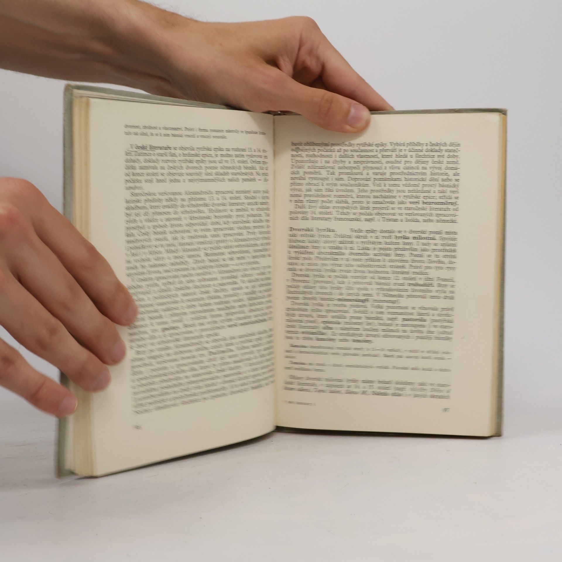 Felix Vodička Svět literatury I.