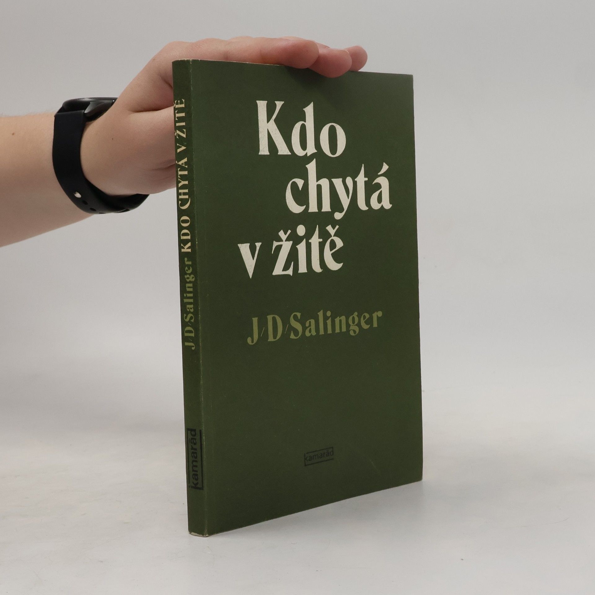 J. D. Salinger Kdo chytá v žitě