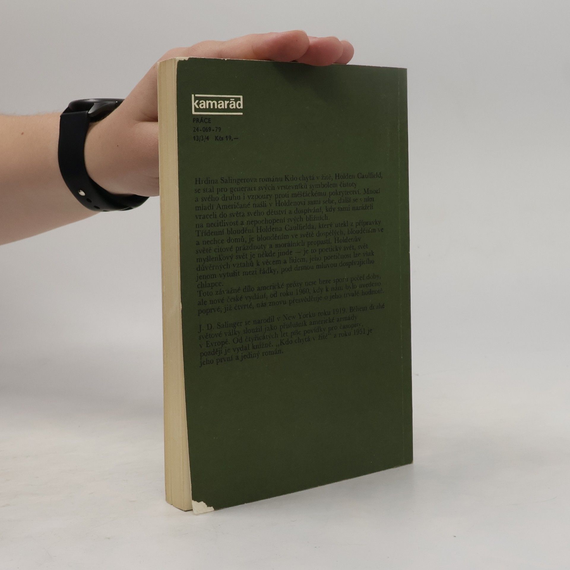 J. D. Salinger Kdo chytá v žitě
