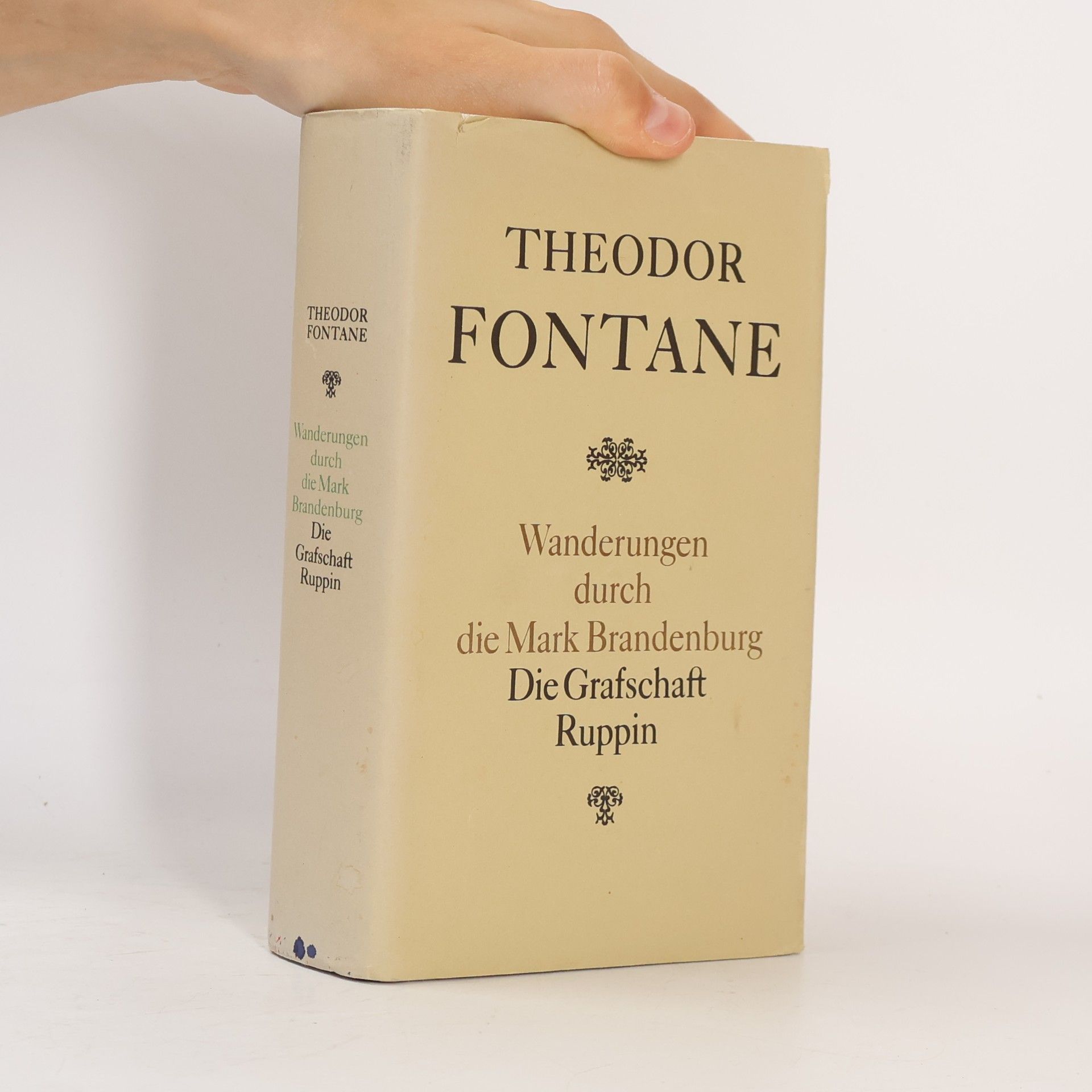 Theodor Fontane Wanderungen durch die Mark Brandeburg. Die Grafschaft Ruppin