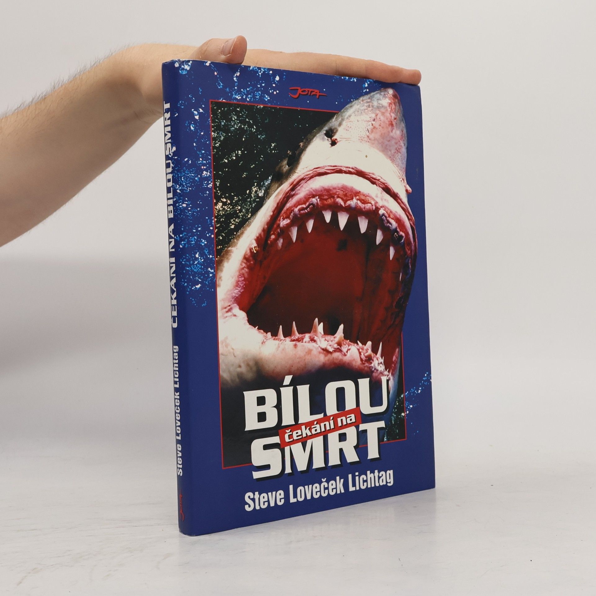 Steve Lichtag Čekání na bílou smrt