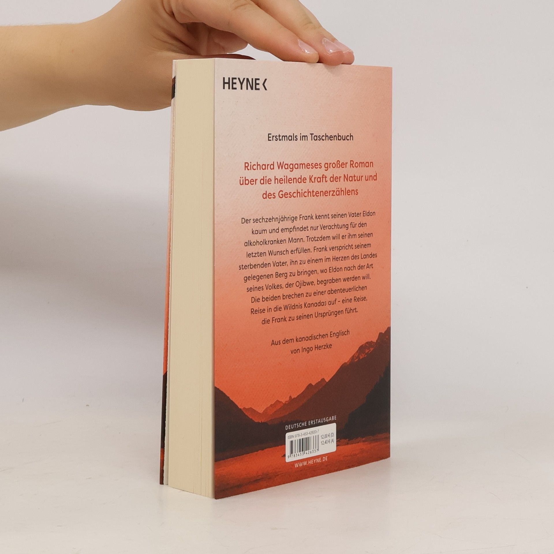 Richard Wagamese Das weite Herz des Landes