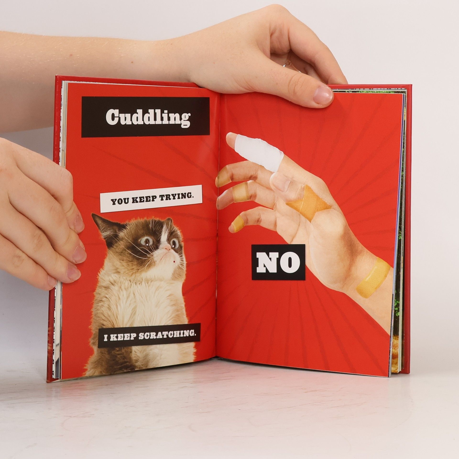 Autores varios Grumpy Cat - No-It-All