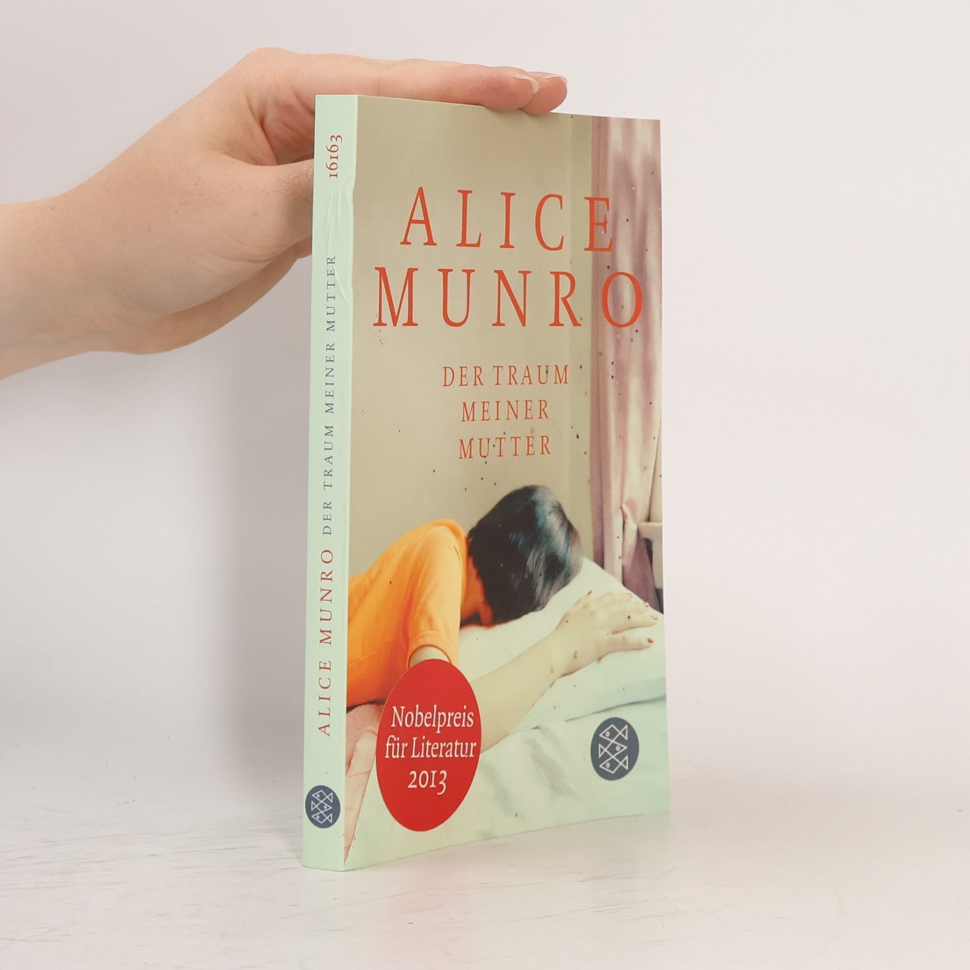 Alice Munro Der Traum meiner Mutter