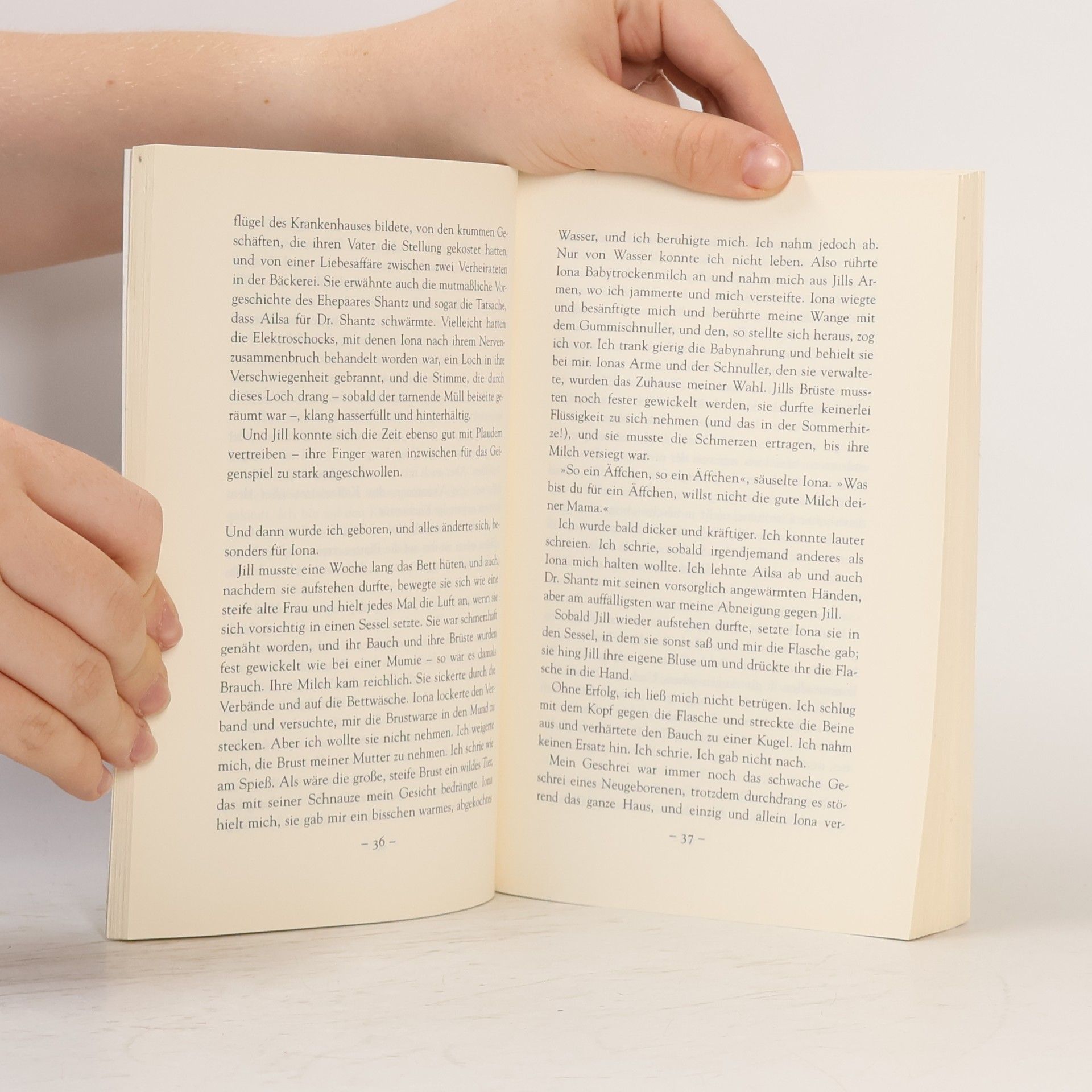 Alice Munro Der Traum meiner Mutter