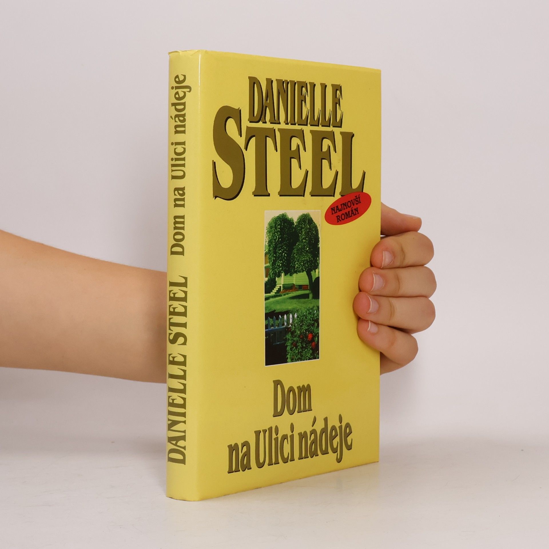 Danielle Steelová Dom na Ulici nádeje
