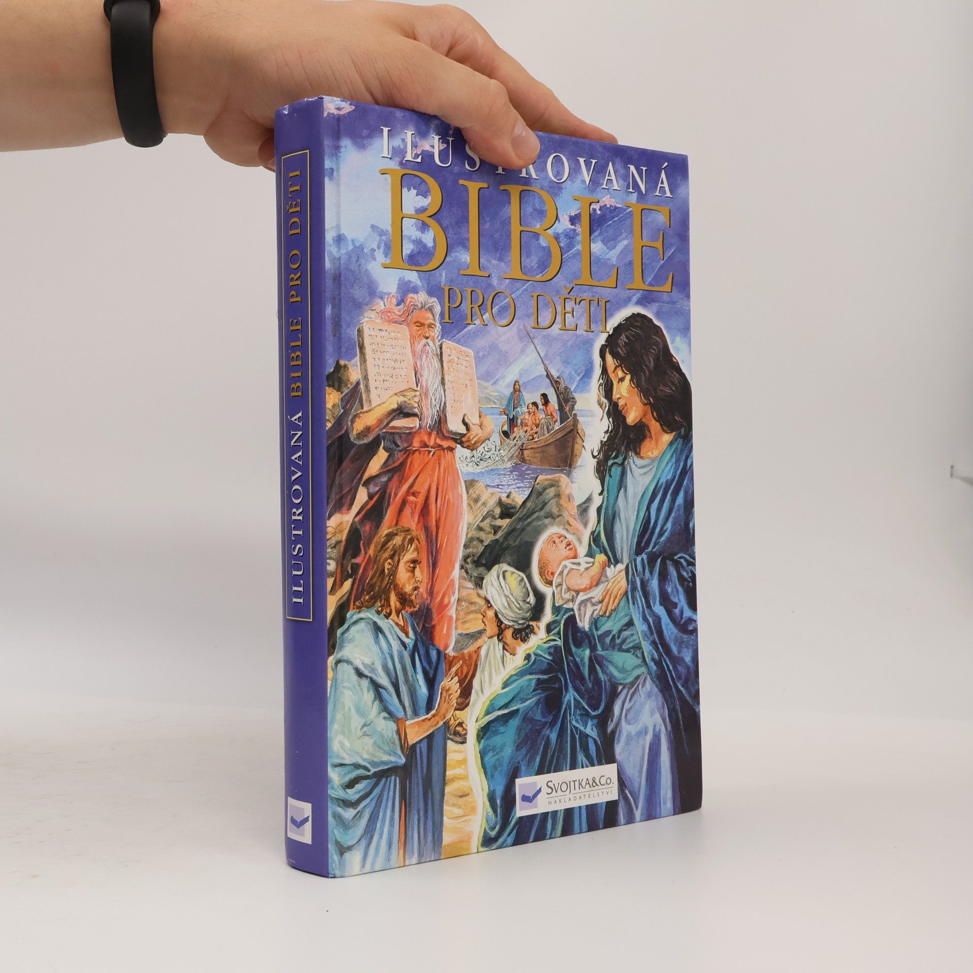 Piotr Krzyýewski Ilustrovaná bible pro děti
