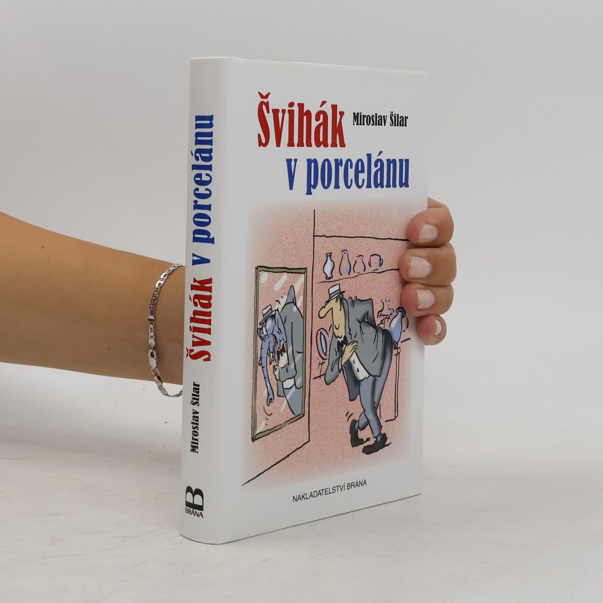 Miroslav Šilar Švihák v porcelánu