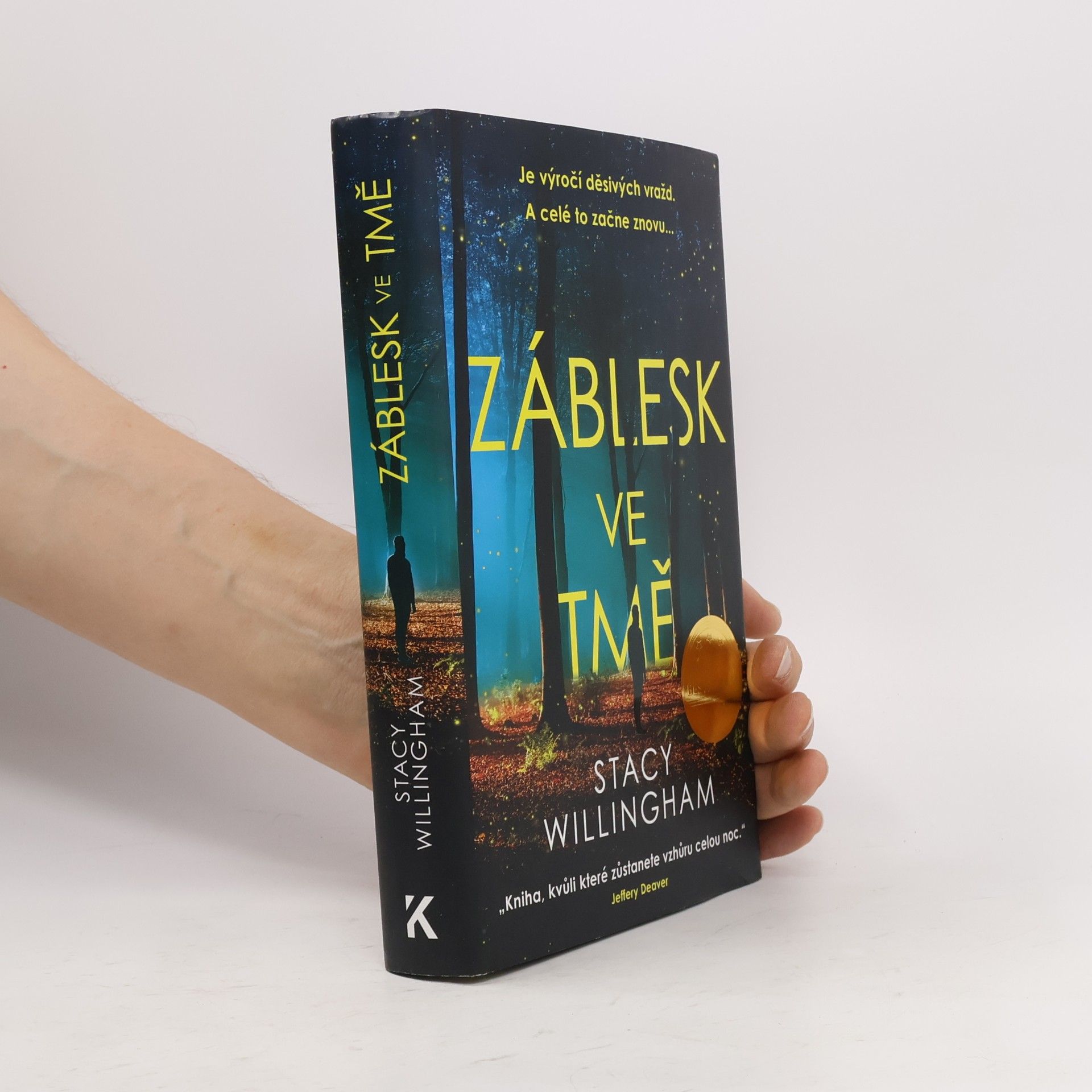 Stacy Willingham Záblesk ve tmě