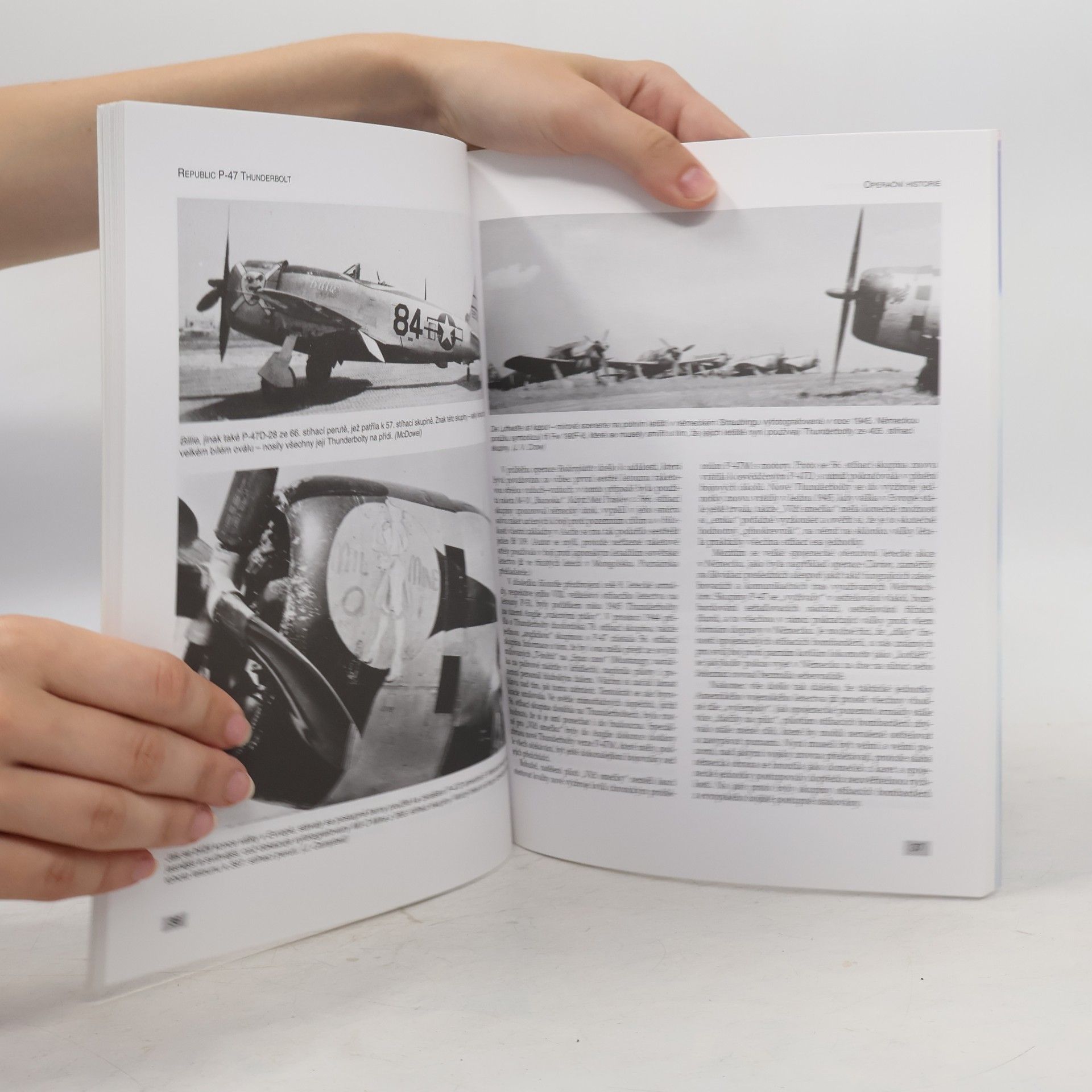 Jerry Scutts Bojové legendy P-47 Thunderbolt