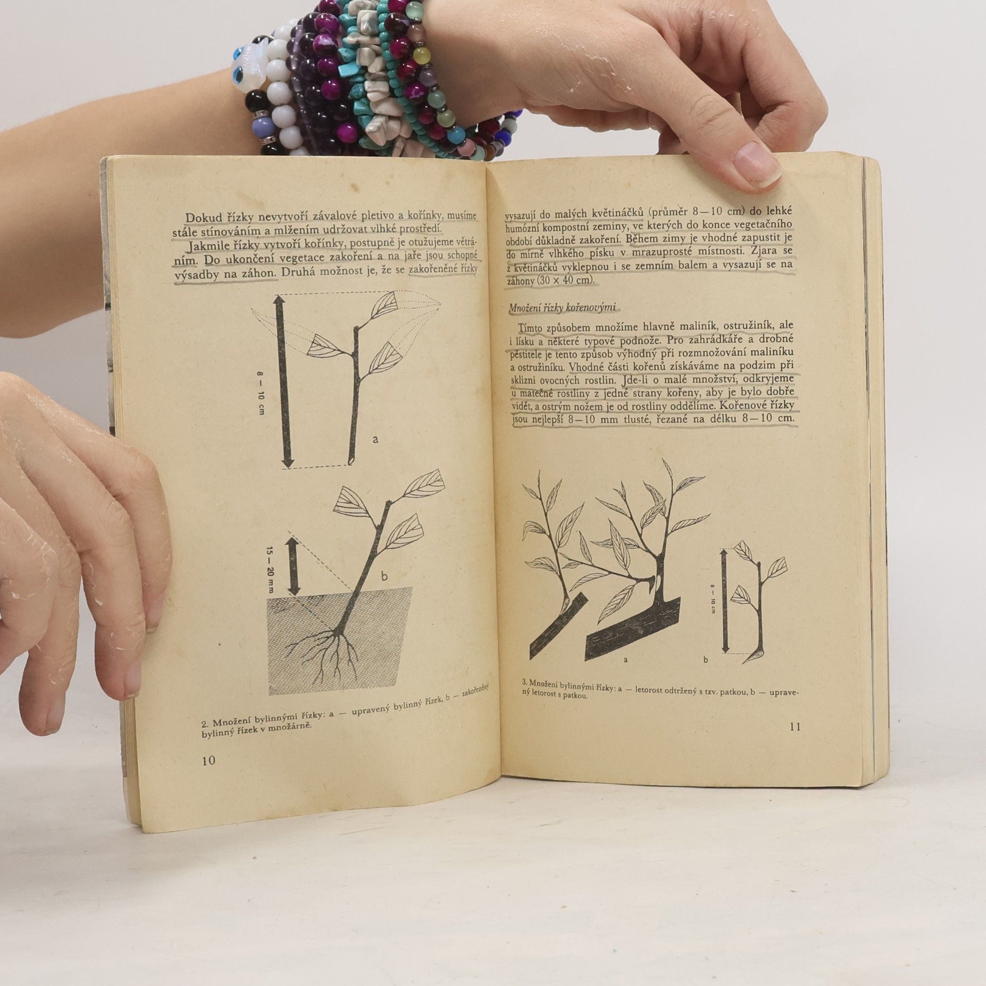 Bohuslav Hanuš Štěpování