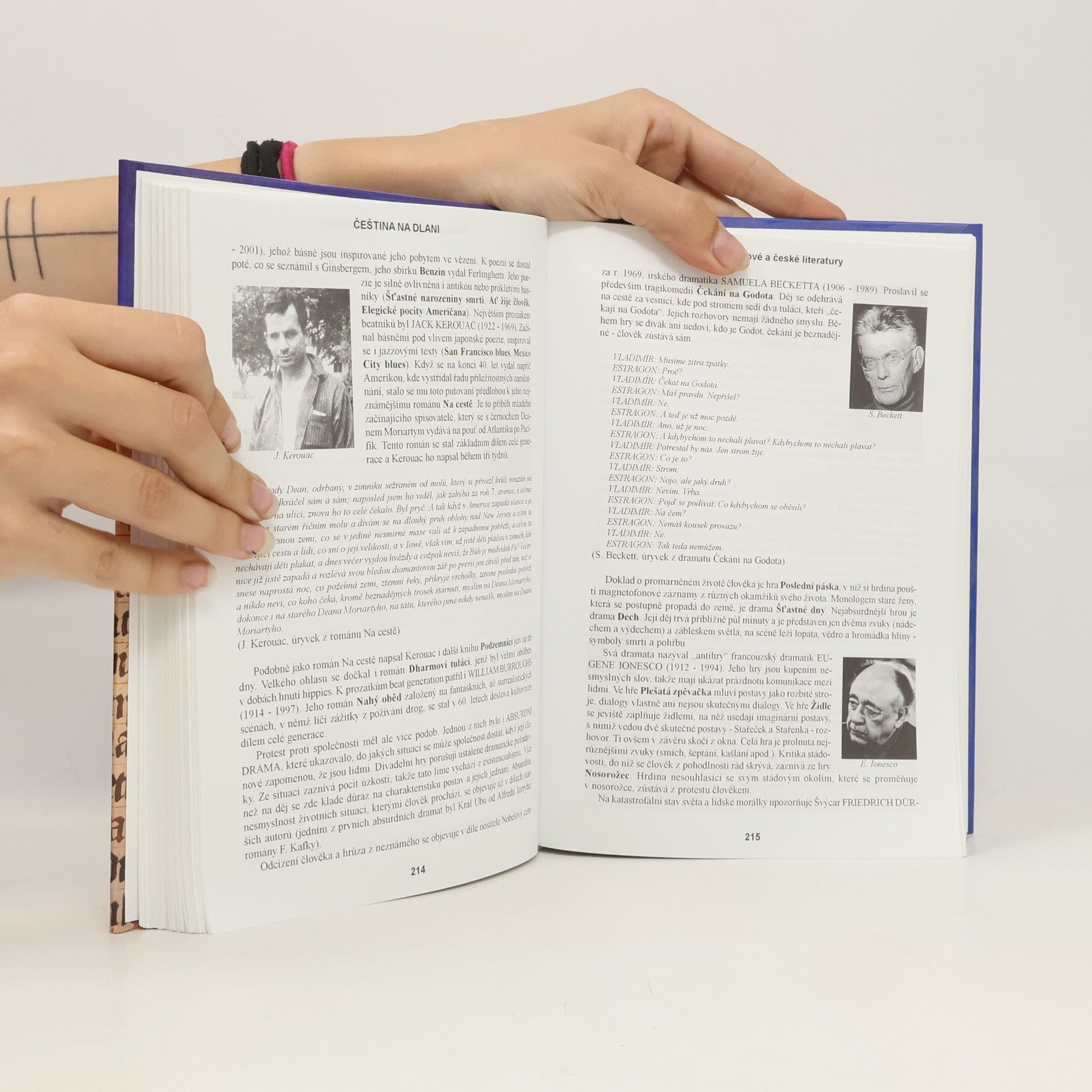 Alois Bauer Čeština na dlani: Přehled světové a české literatury, český jazyk