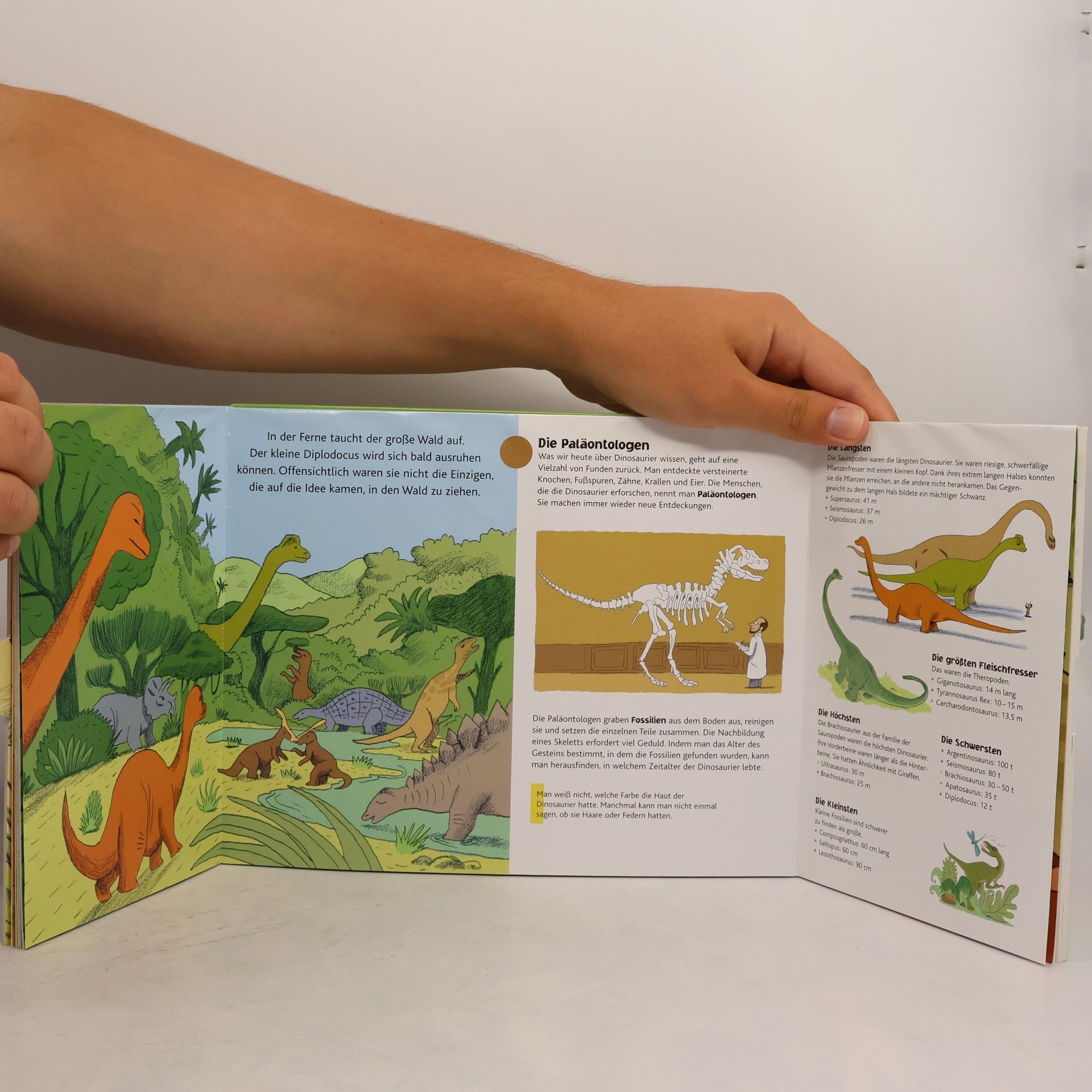Delphine Godard Dinosaurier