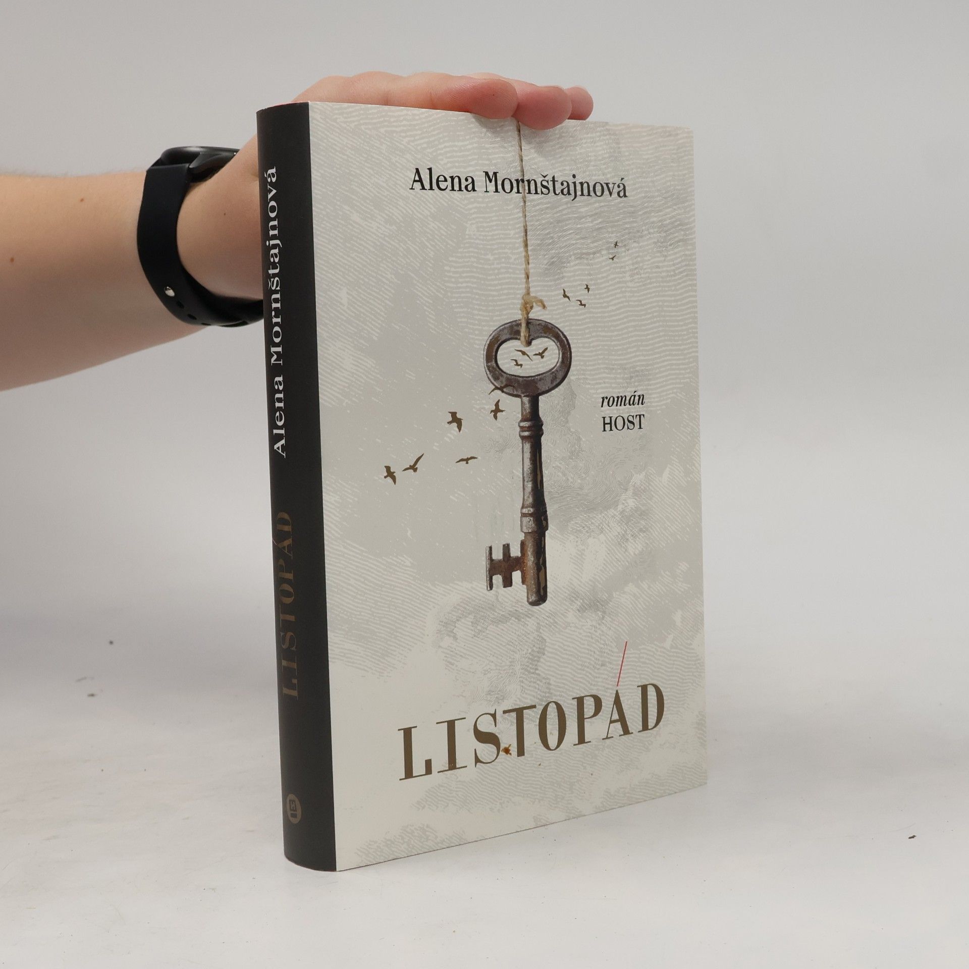 Alena Mornštajnová Listopád