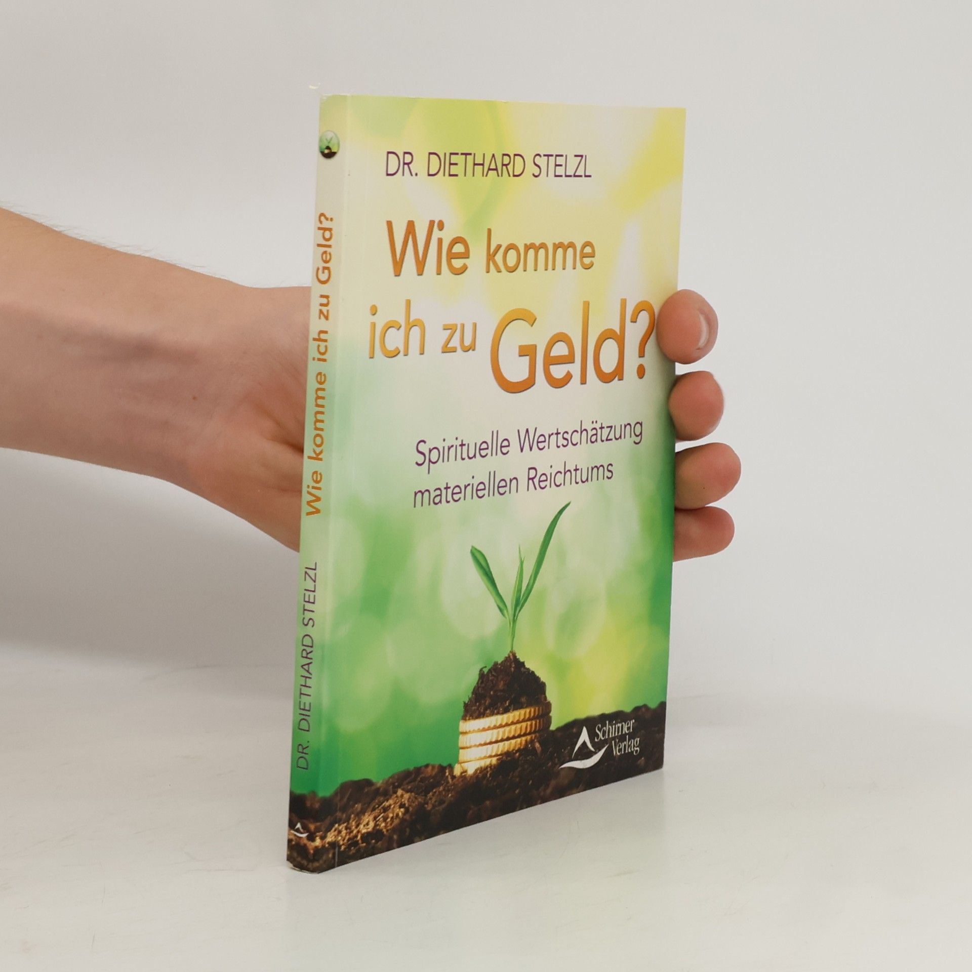 Diethard Stelzl Wie komme ich zu Geld? : spirituelle Wertschätzung materiellen Reichtums