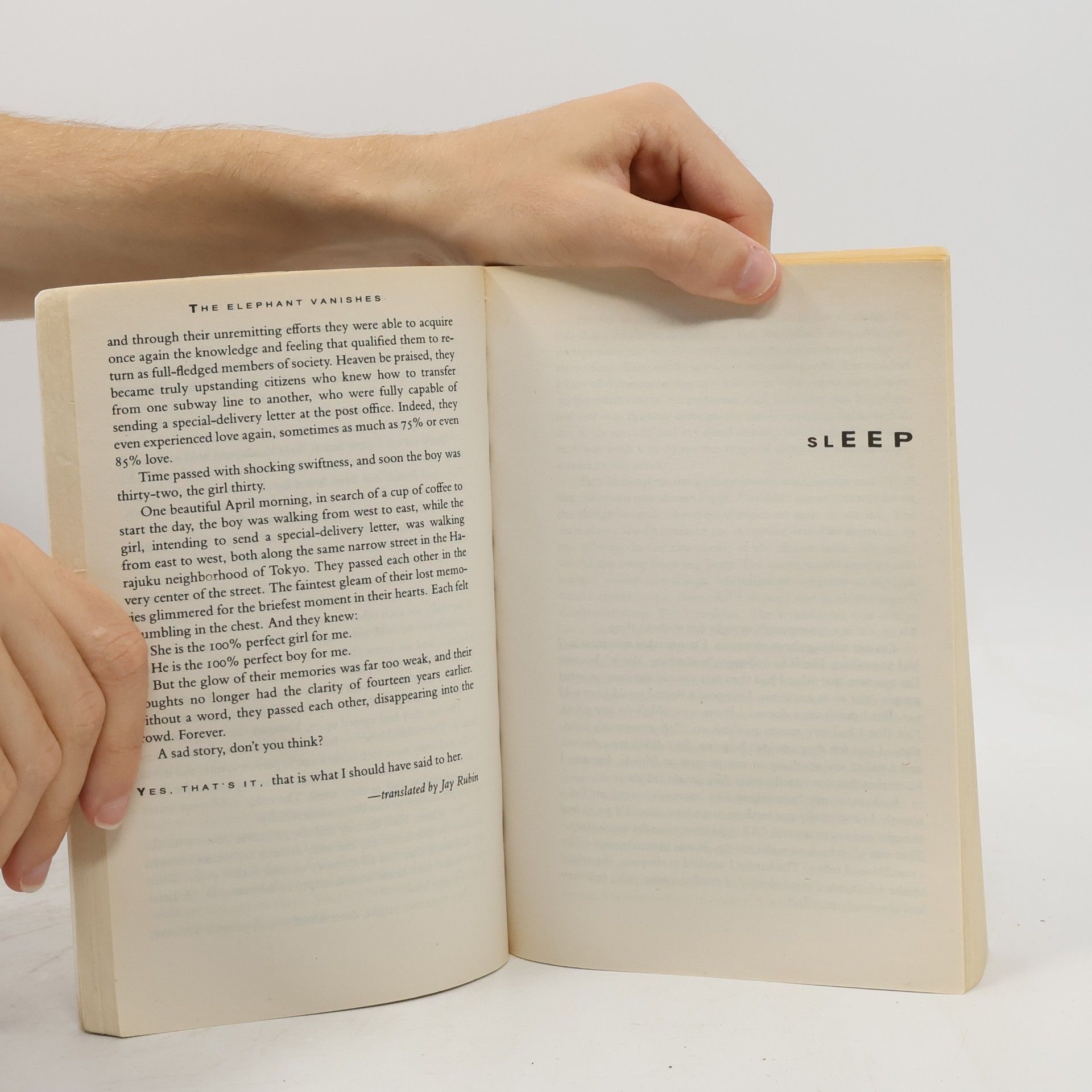Haruki Murakami The Elephant Vanishes