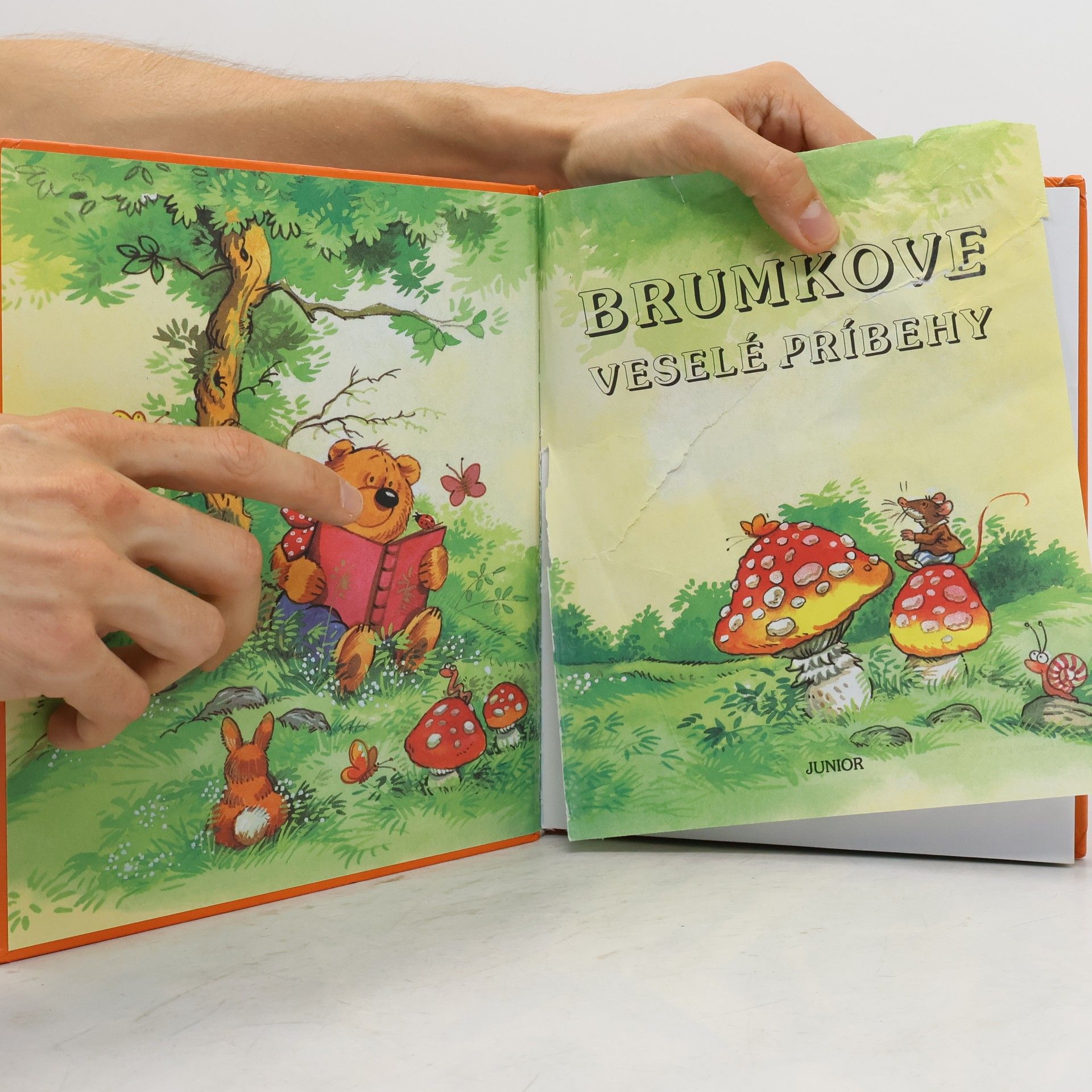 Various authors Čítaj si sám: Brumkove veselé príbehy