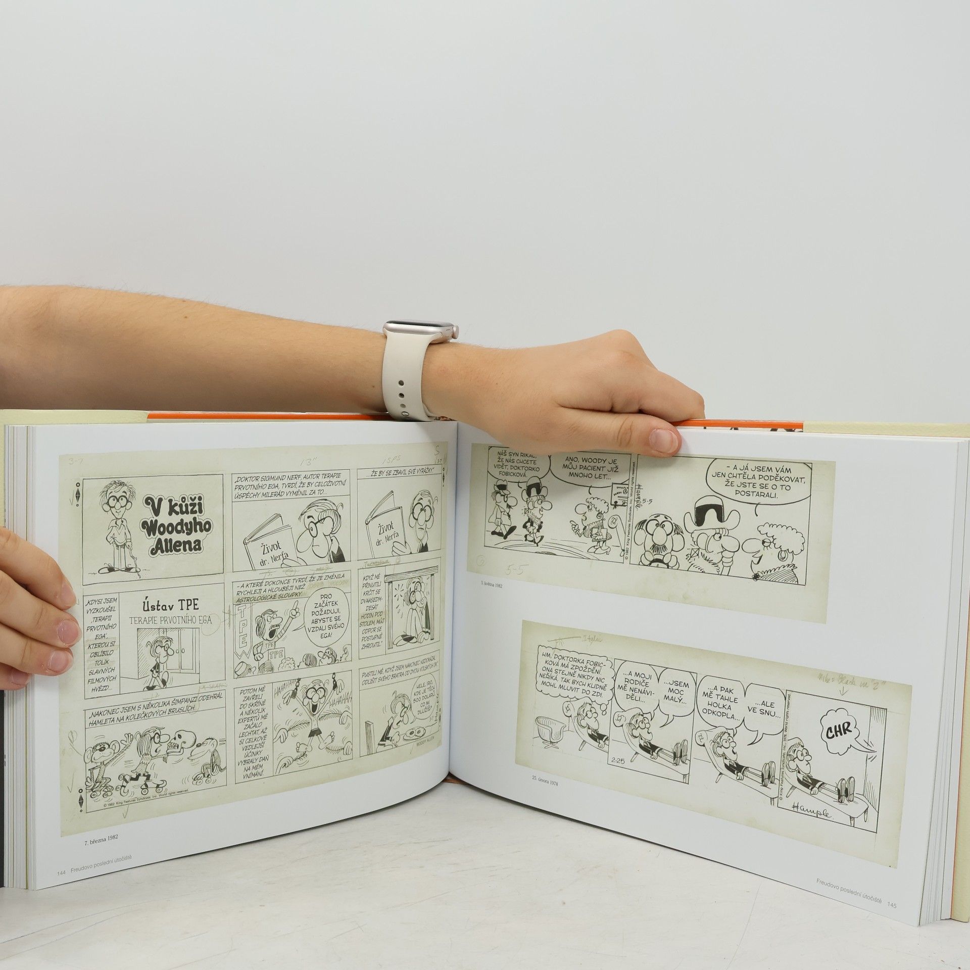 Stuart Hample V kůži Woodyho Allena. Woody Allen jako komiksový strip