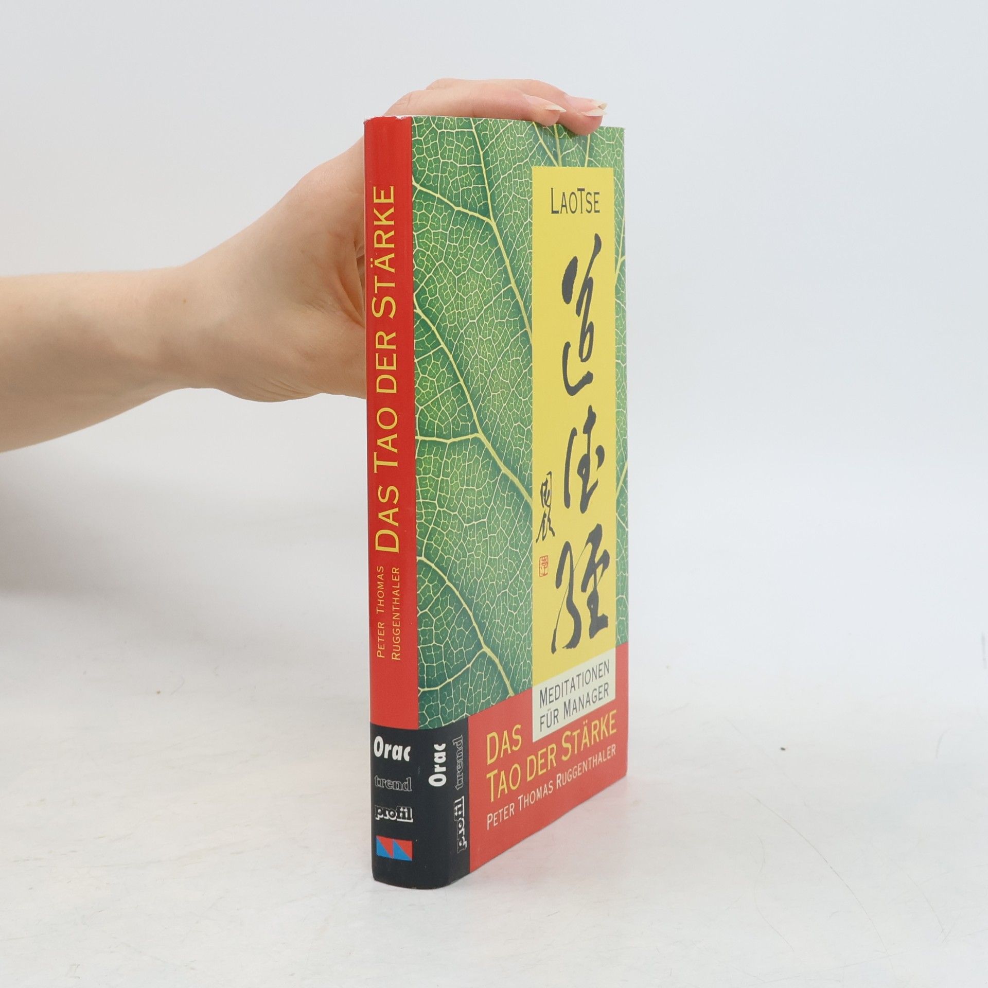 Lao Zi Das Tao der Stärke