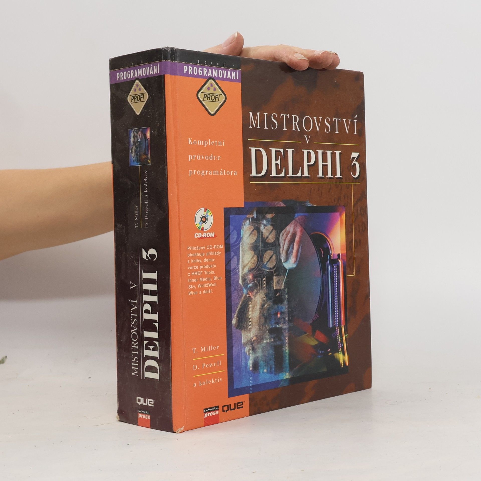 David Powell Mistrovství v DELPHI 3