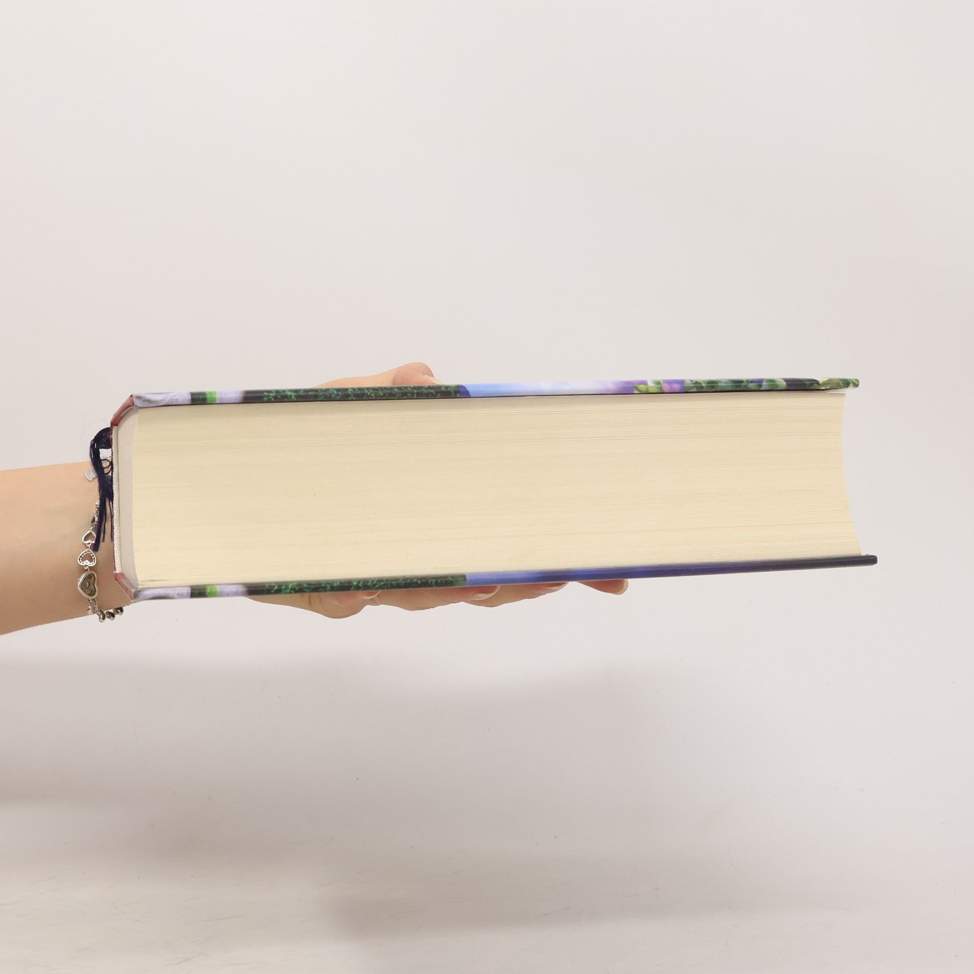 Lucinda Riley Atlas. Die Geschichte von Pa Salt