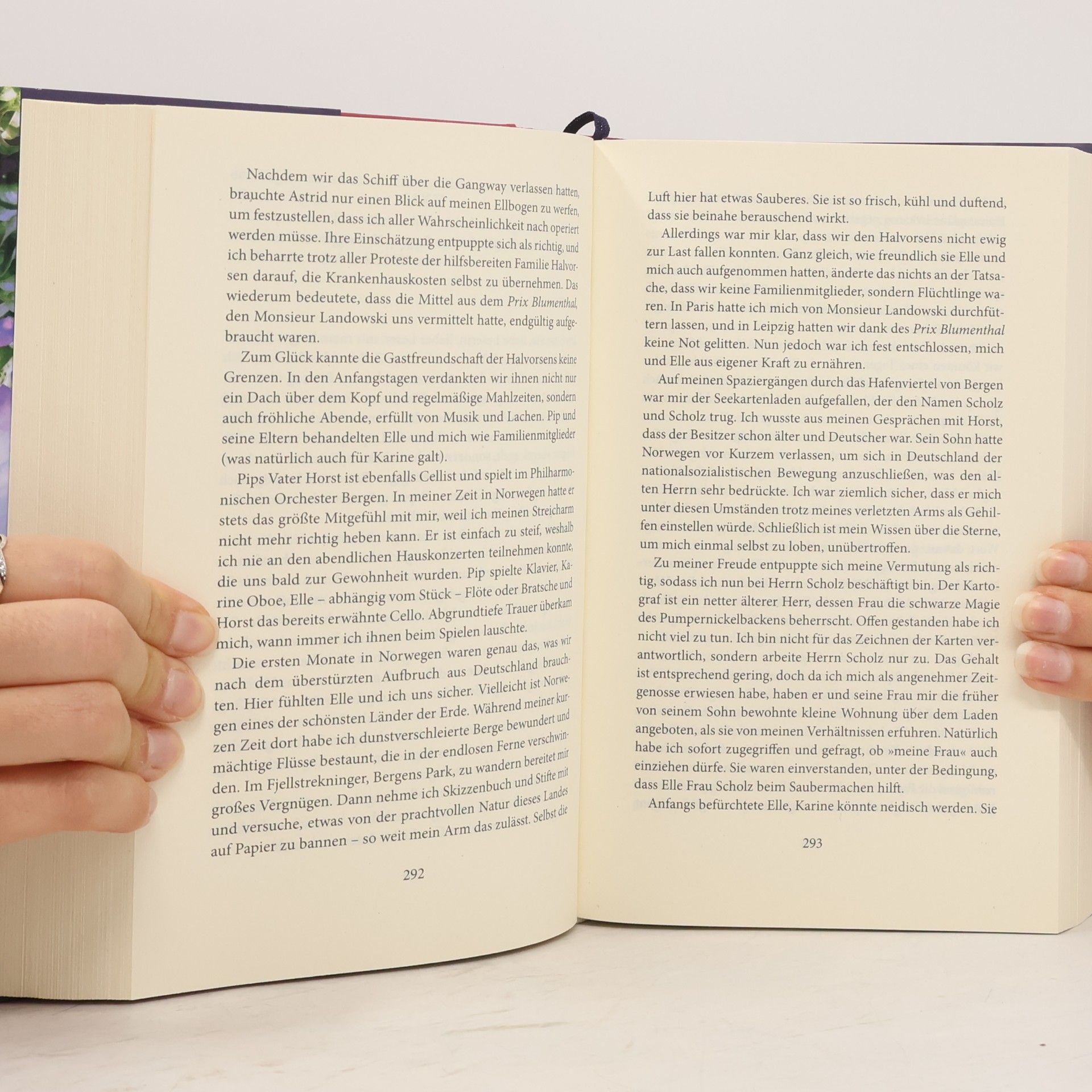 Lucinda Riley Atlas. Die Geschichte von Pa Salt
