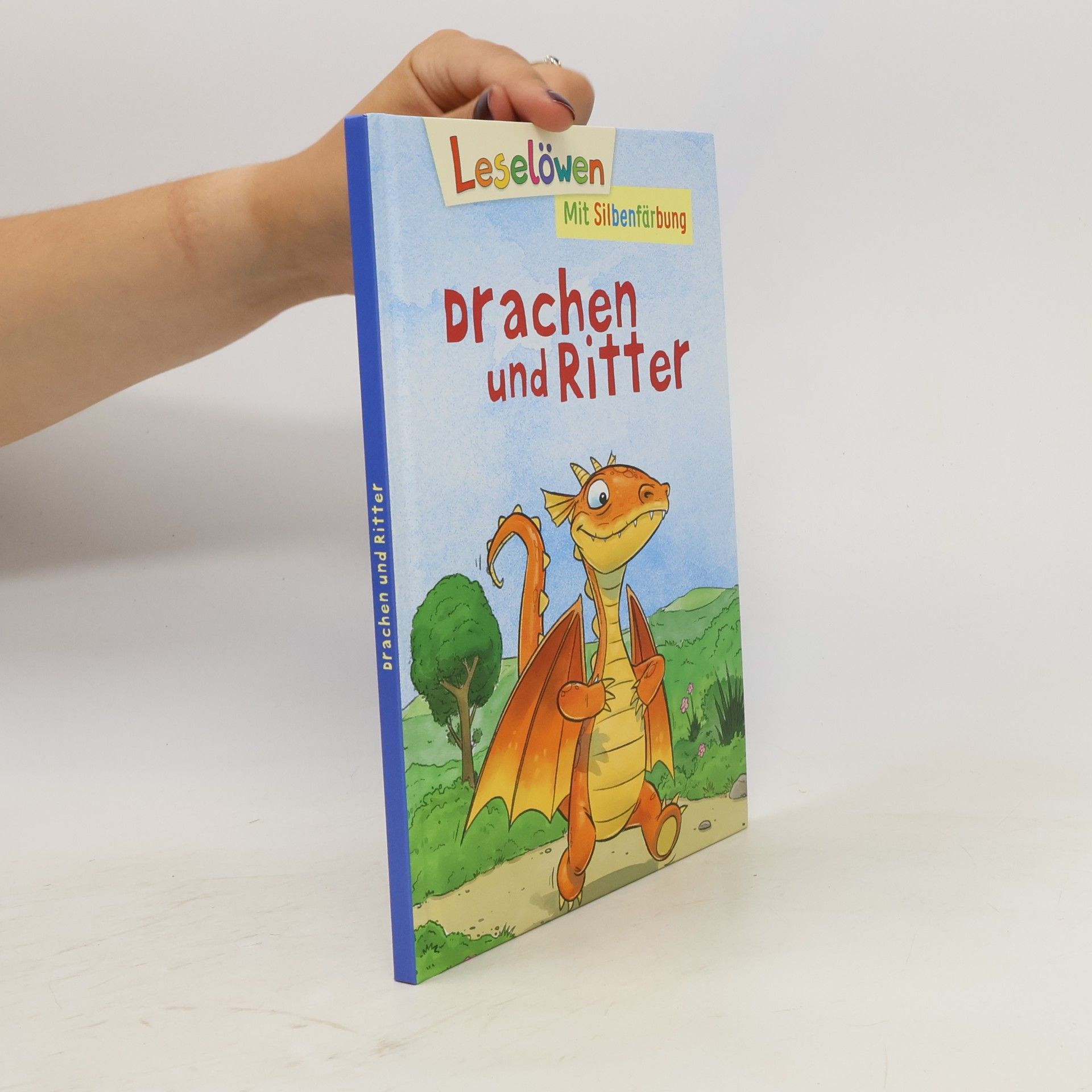 Autorenkollektiv Drachen und Ritter
