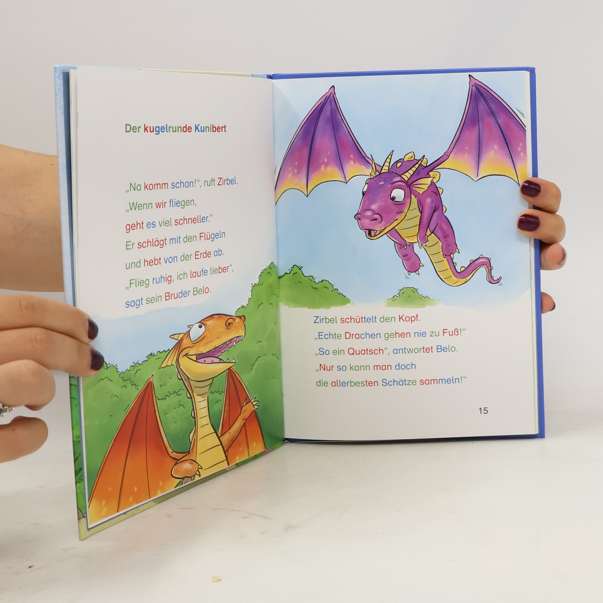 Collectif d'auteurs Drachen und Ritter
