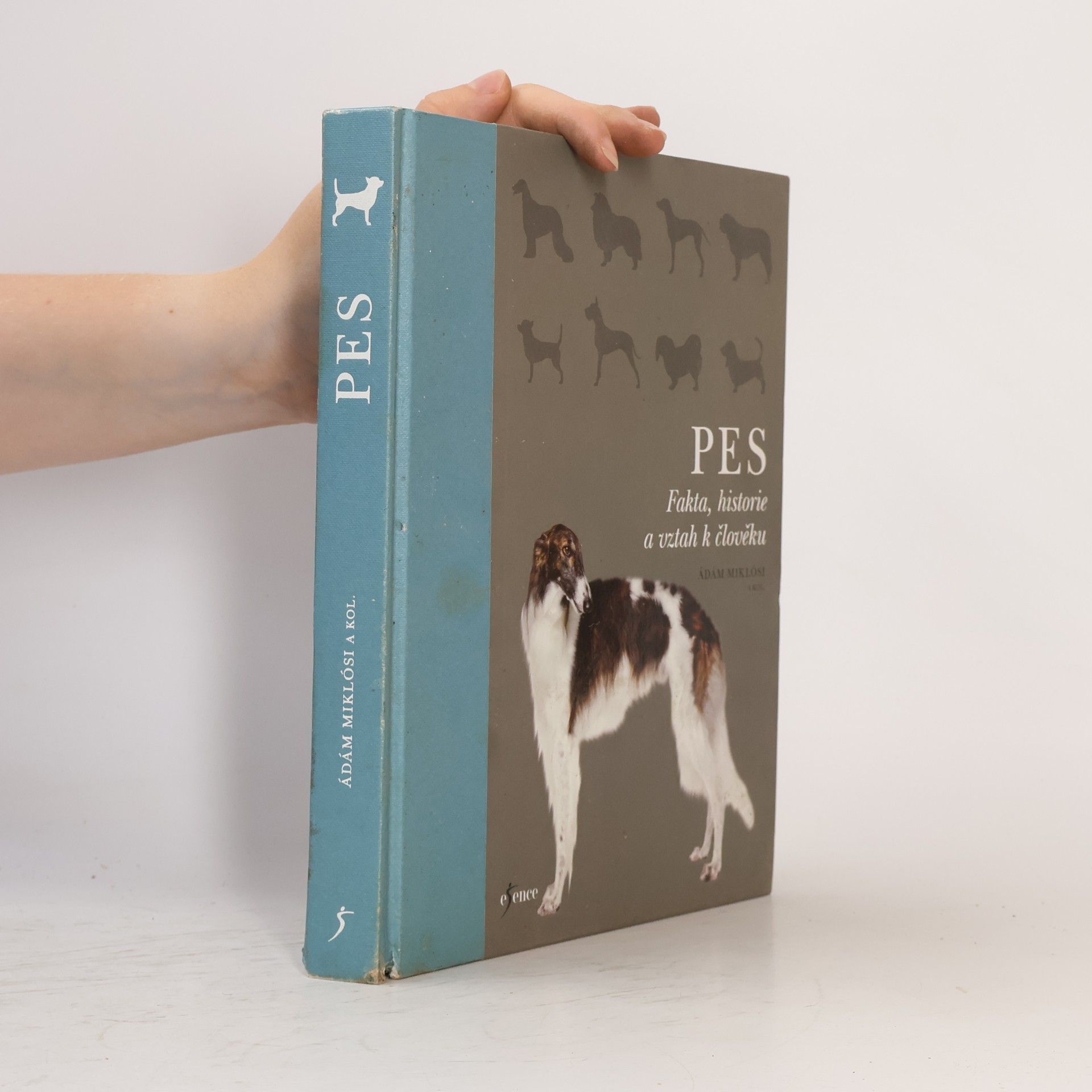 Various authors Pes