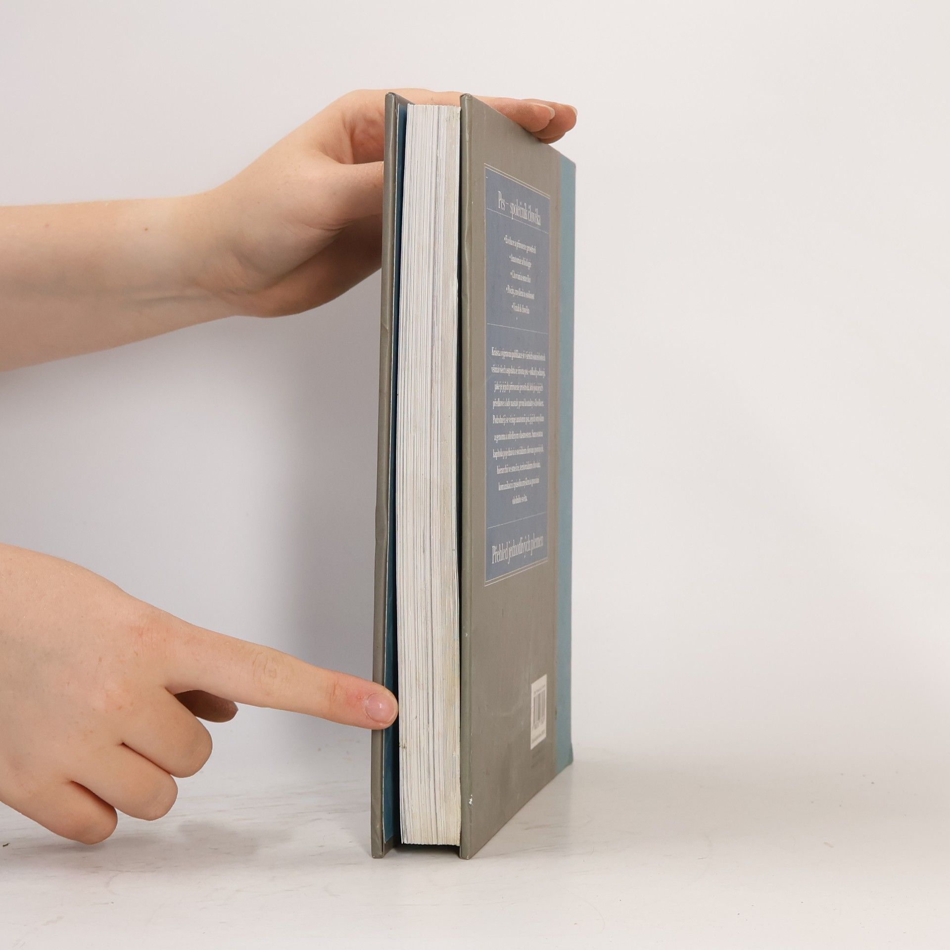 Various authors Pes