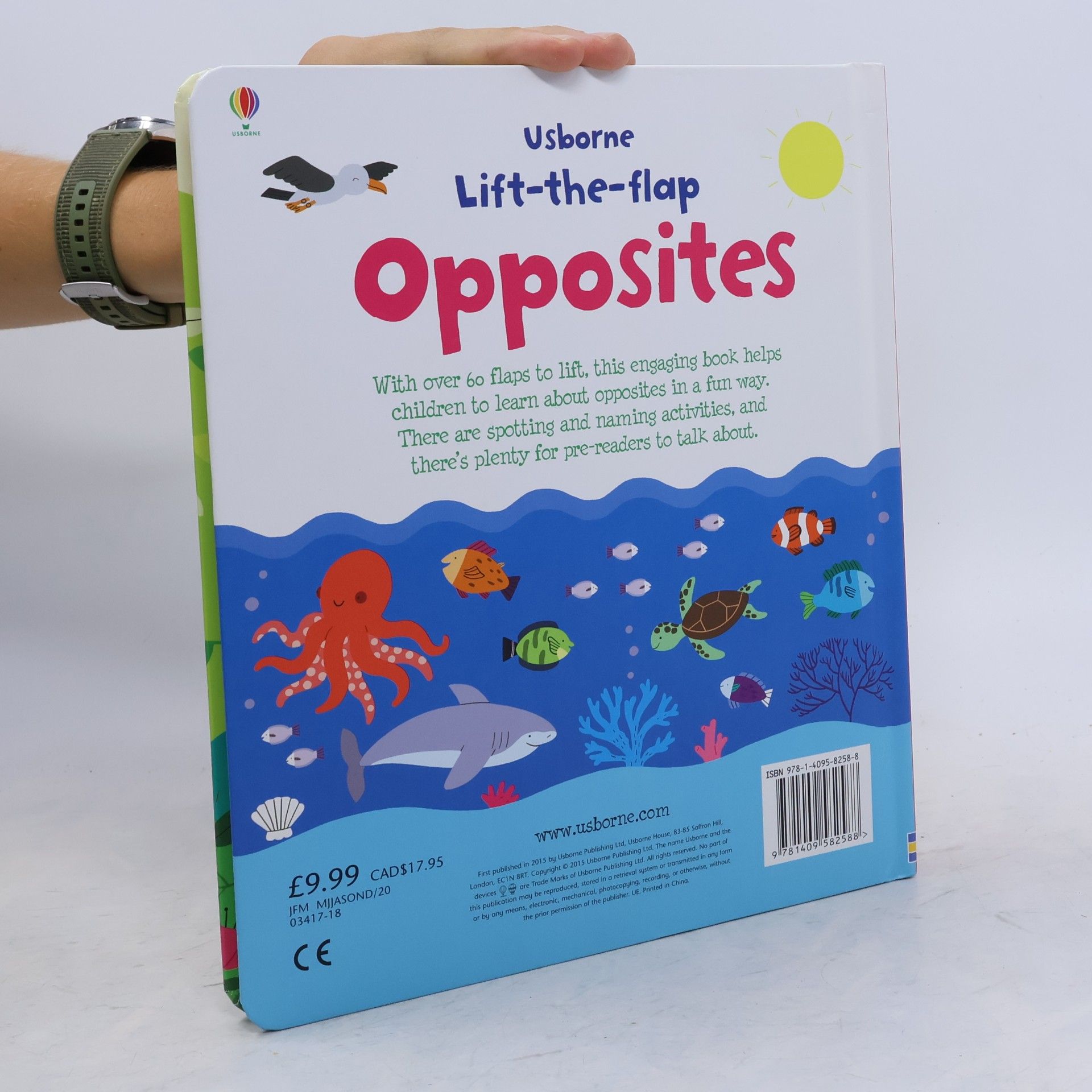 Felicity Brooks Opposites