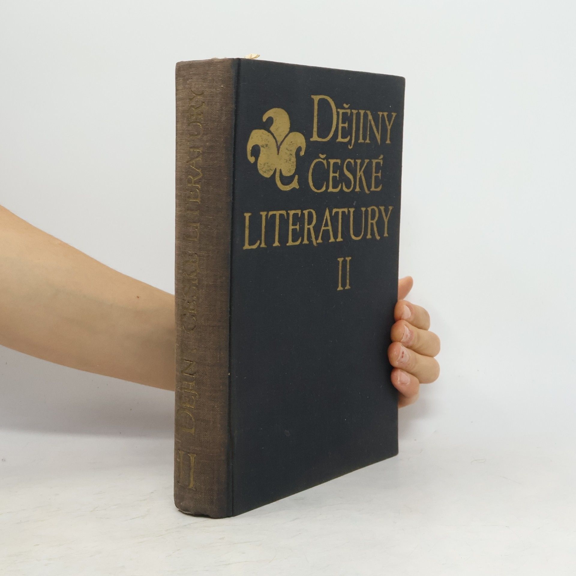 Autorenkollektiv Dějiny české literatury II.