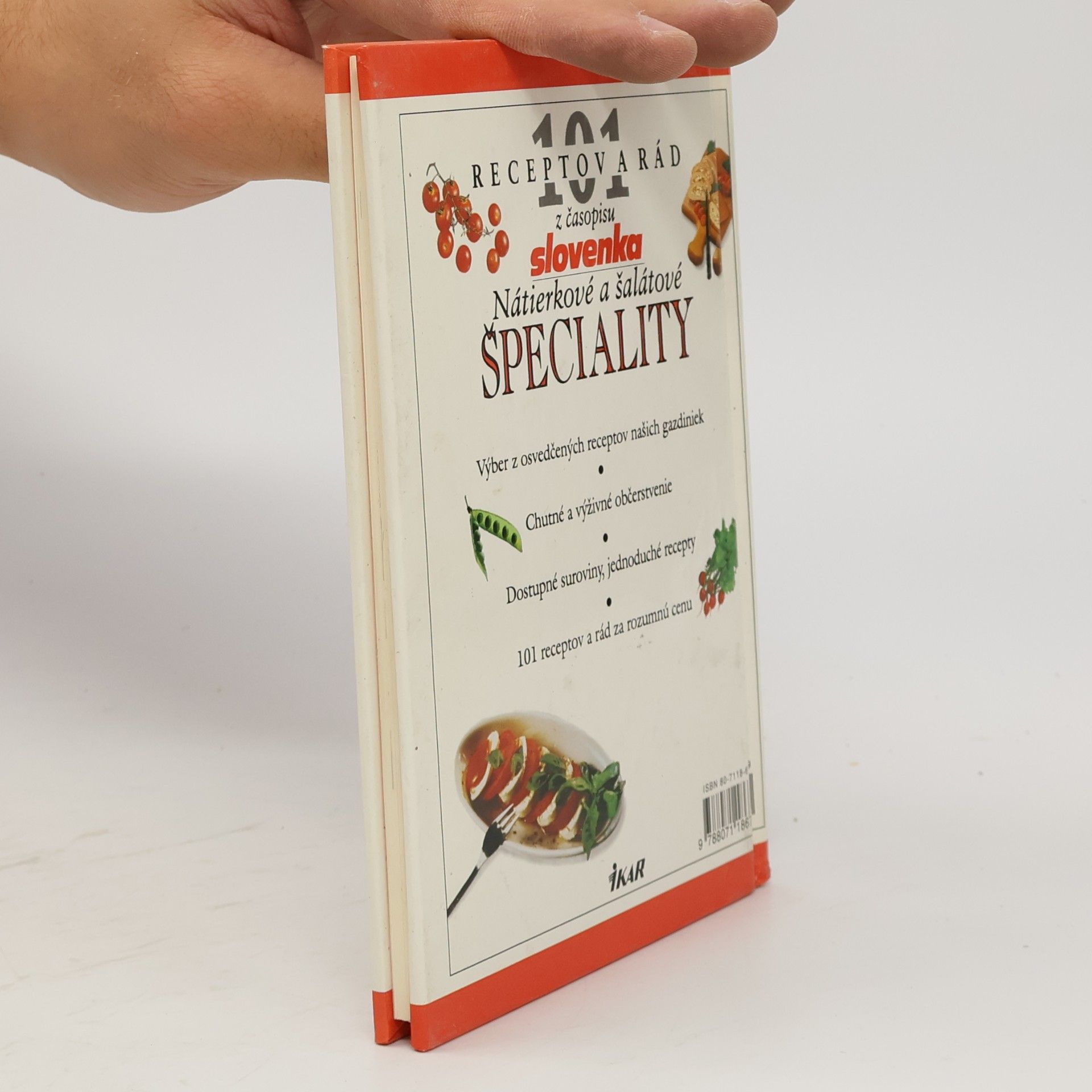 Autorenkollektiv 101 receptov a rad: Nátierkové a šalátové špeciality