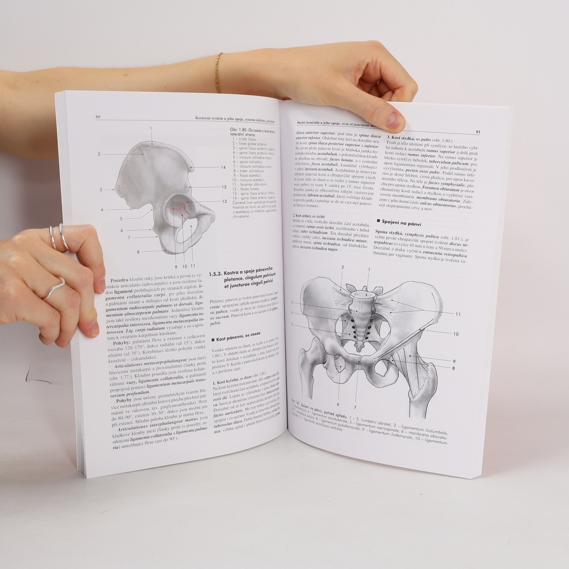 Miloš Grim Základy anatomie 1. Obecná anatomie a pohybový systém