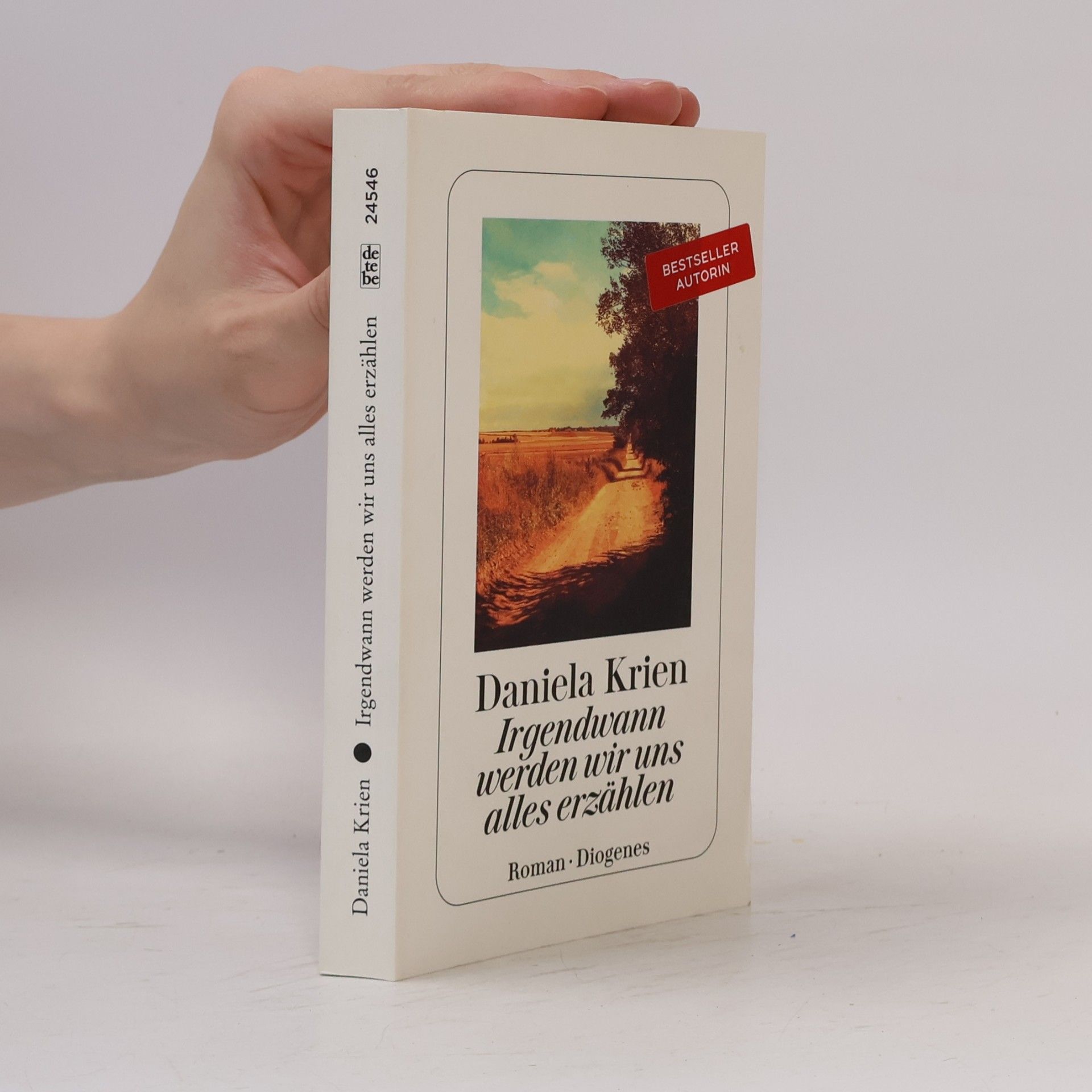 Daniela Krien Irgendwann werden wir uns alles erzählen