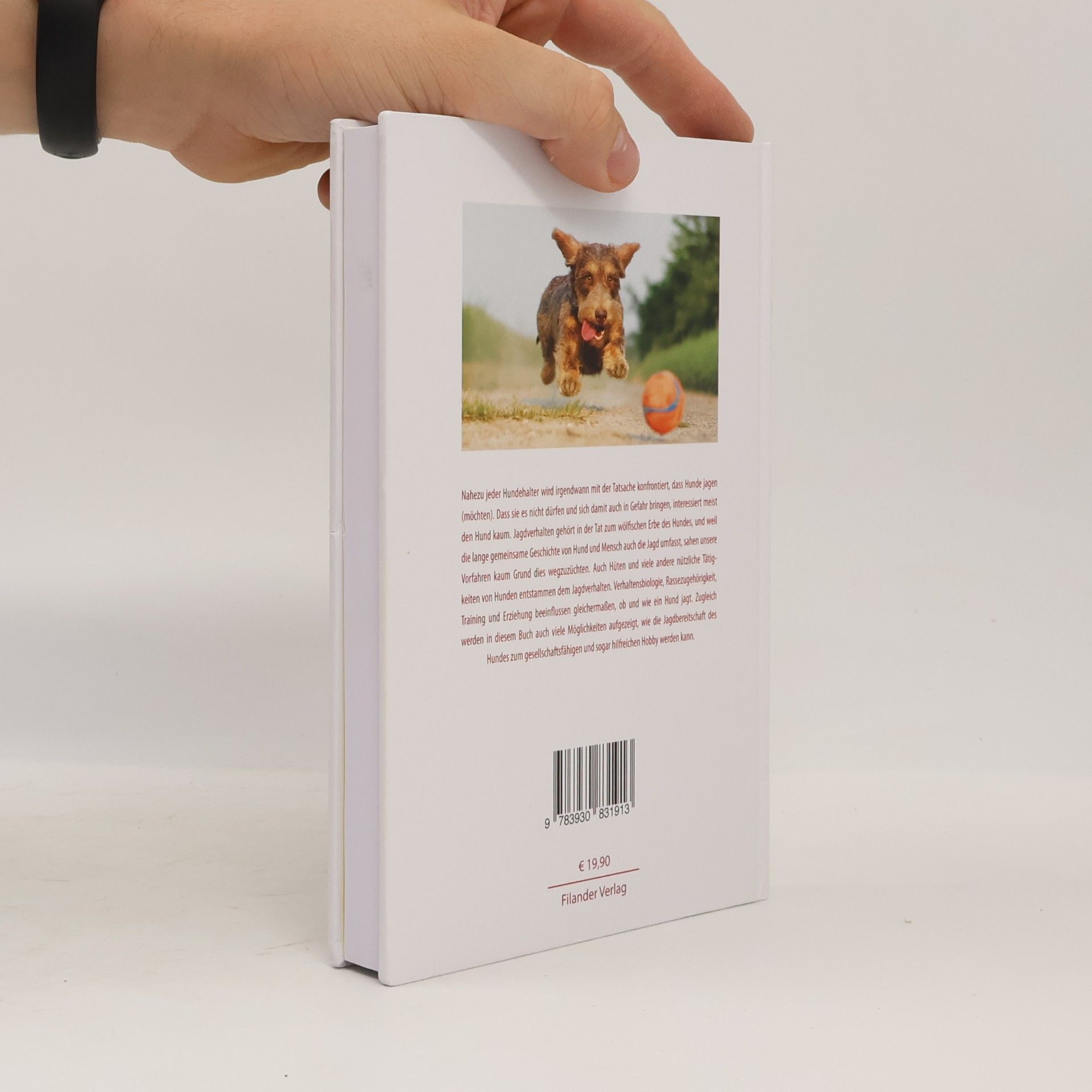 Udo Gansloßer Expertenwissen für Hundehalter - 5: ... und weg ist er!