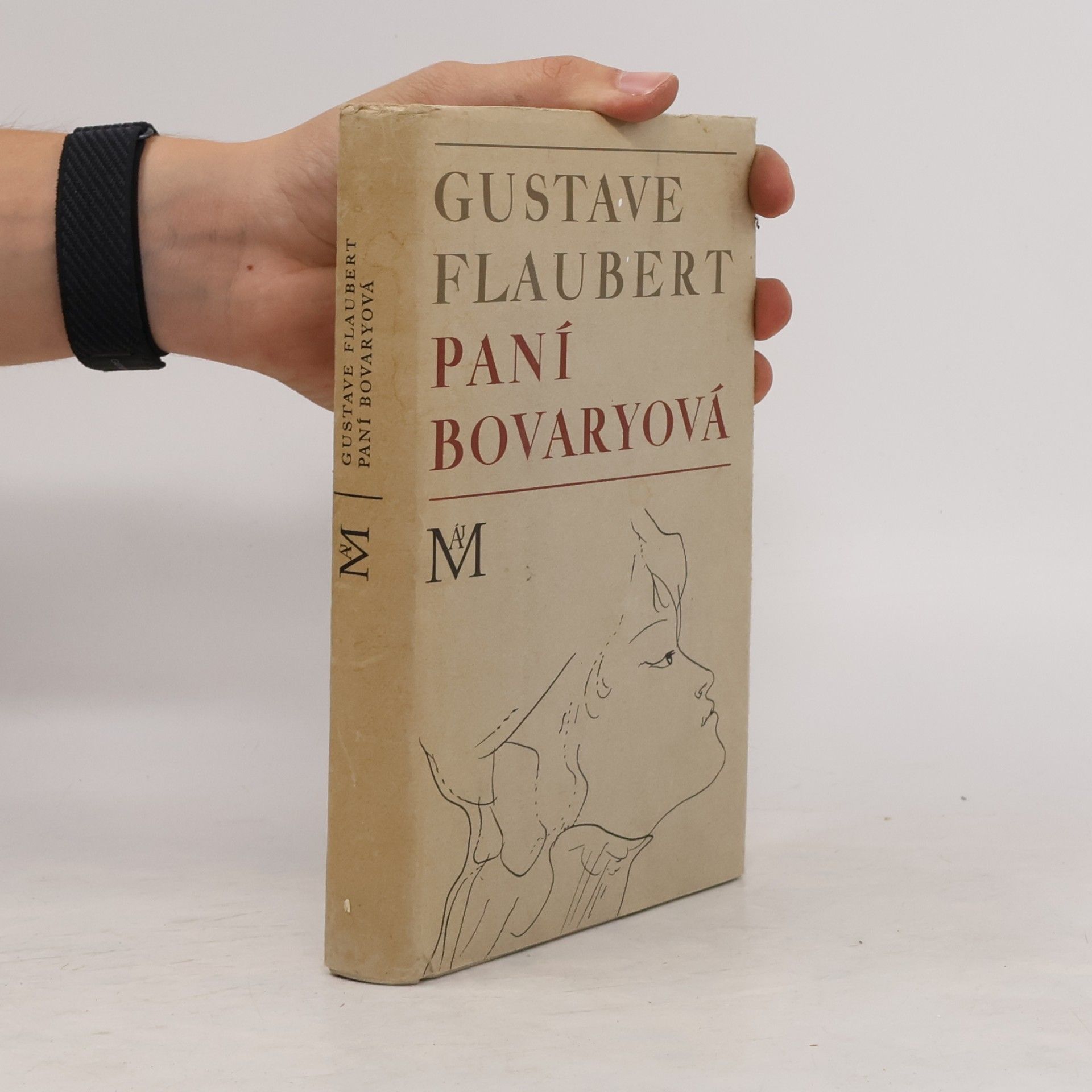 Gustave Flaubert Paní Bovaryová