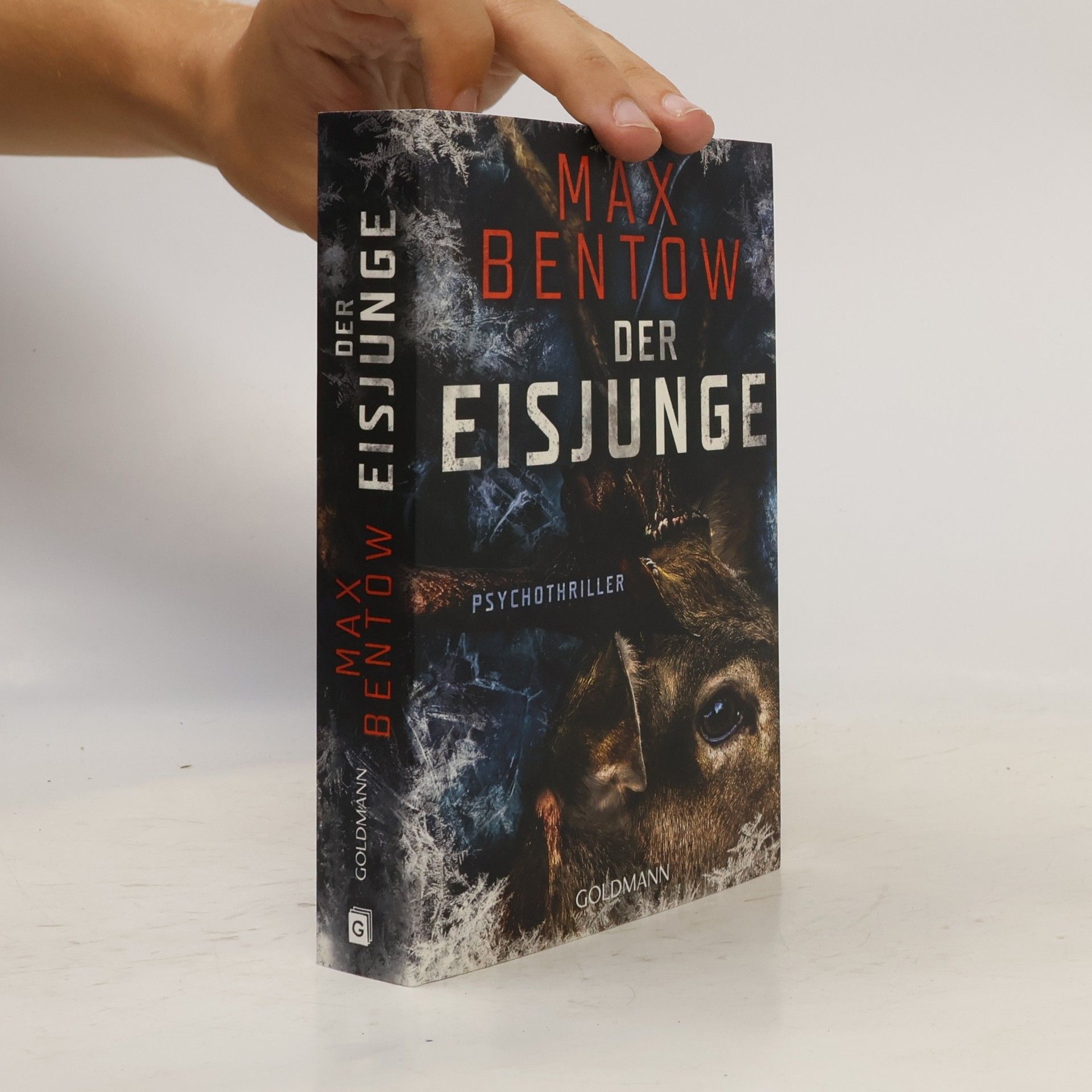 Max Bentow Der Eisjunge
