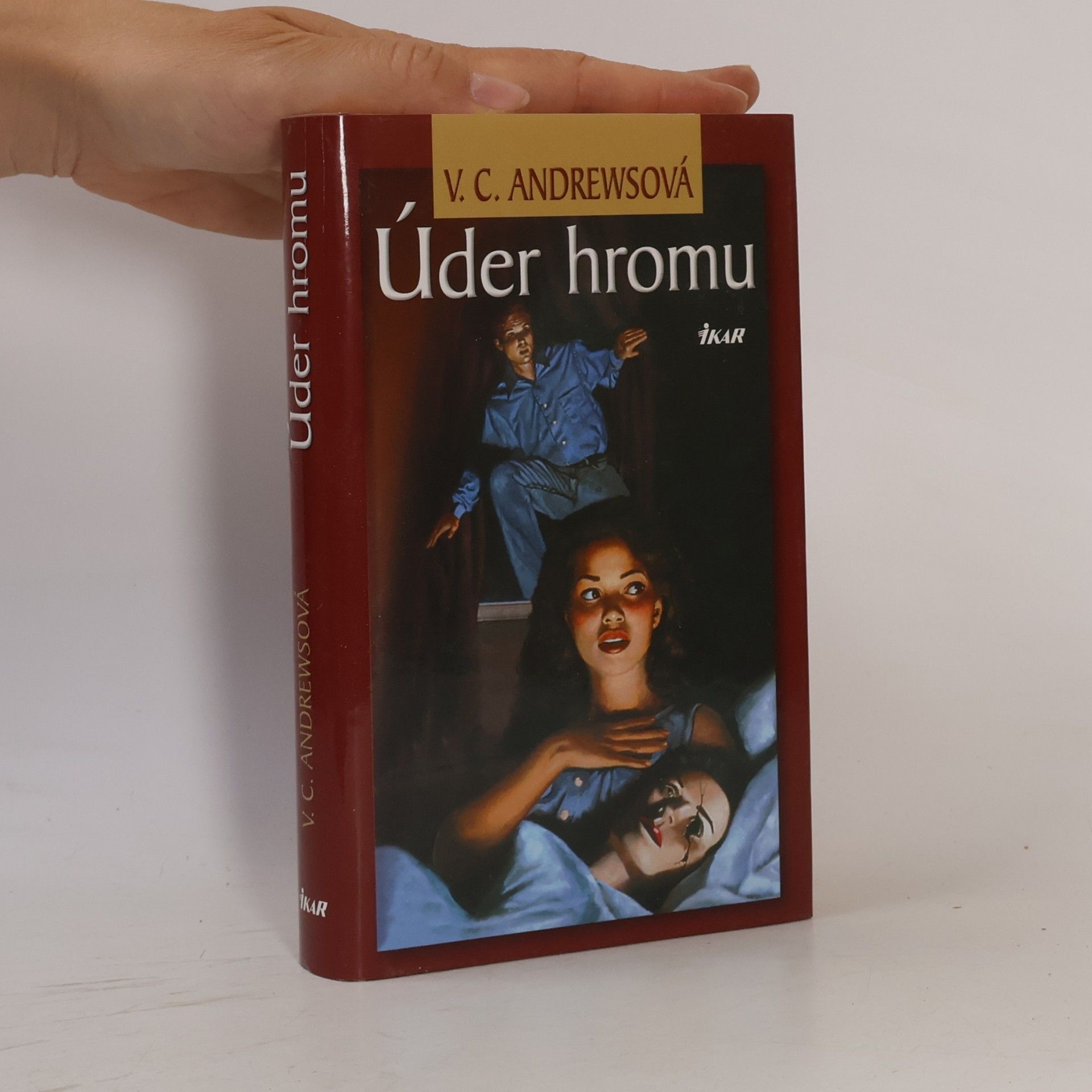 V. C. Andrews Úder hromu