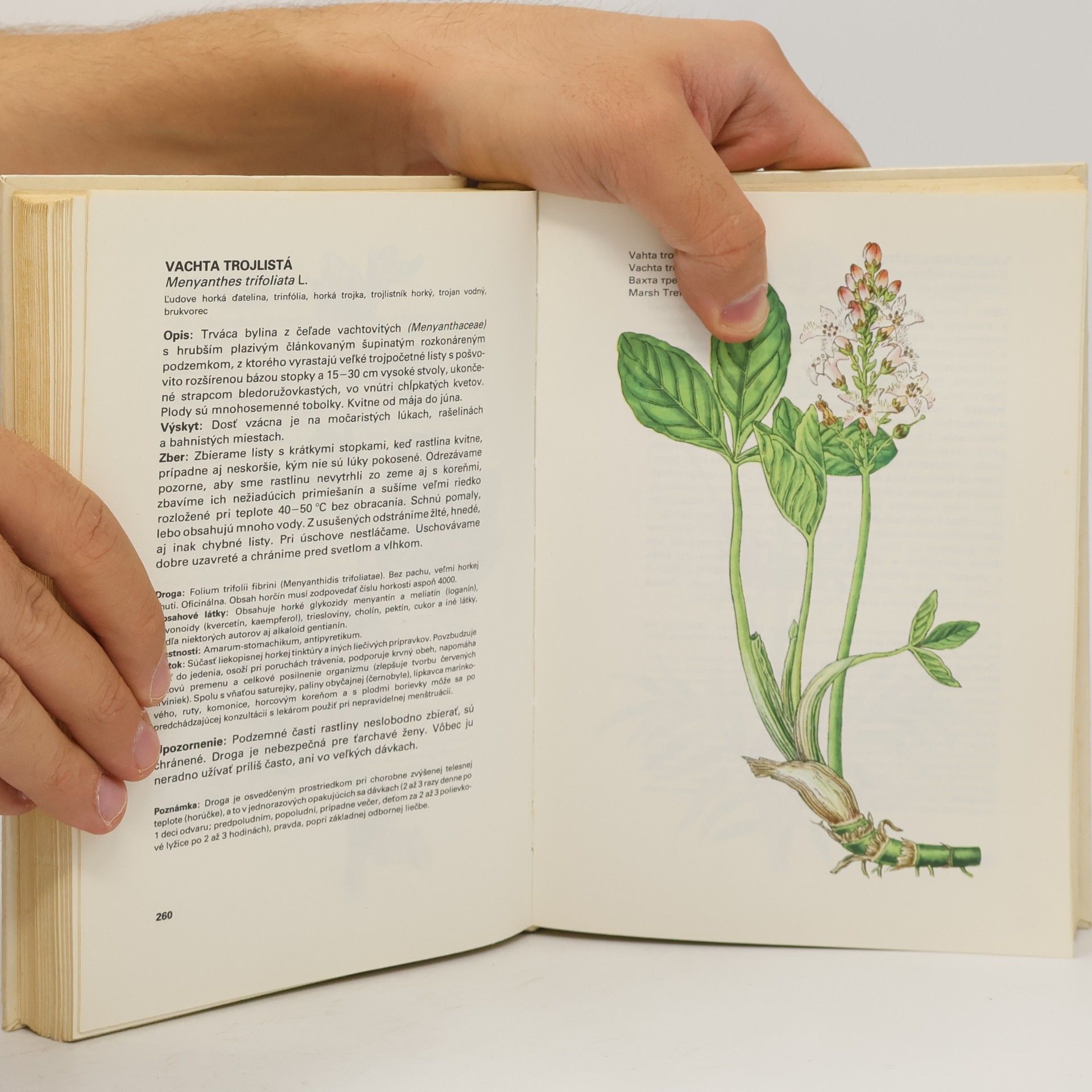 Ludmila Thurzová Malý atlas liečivých rastlín